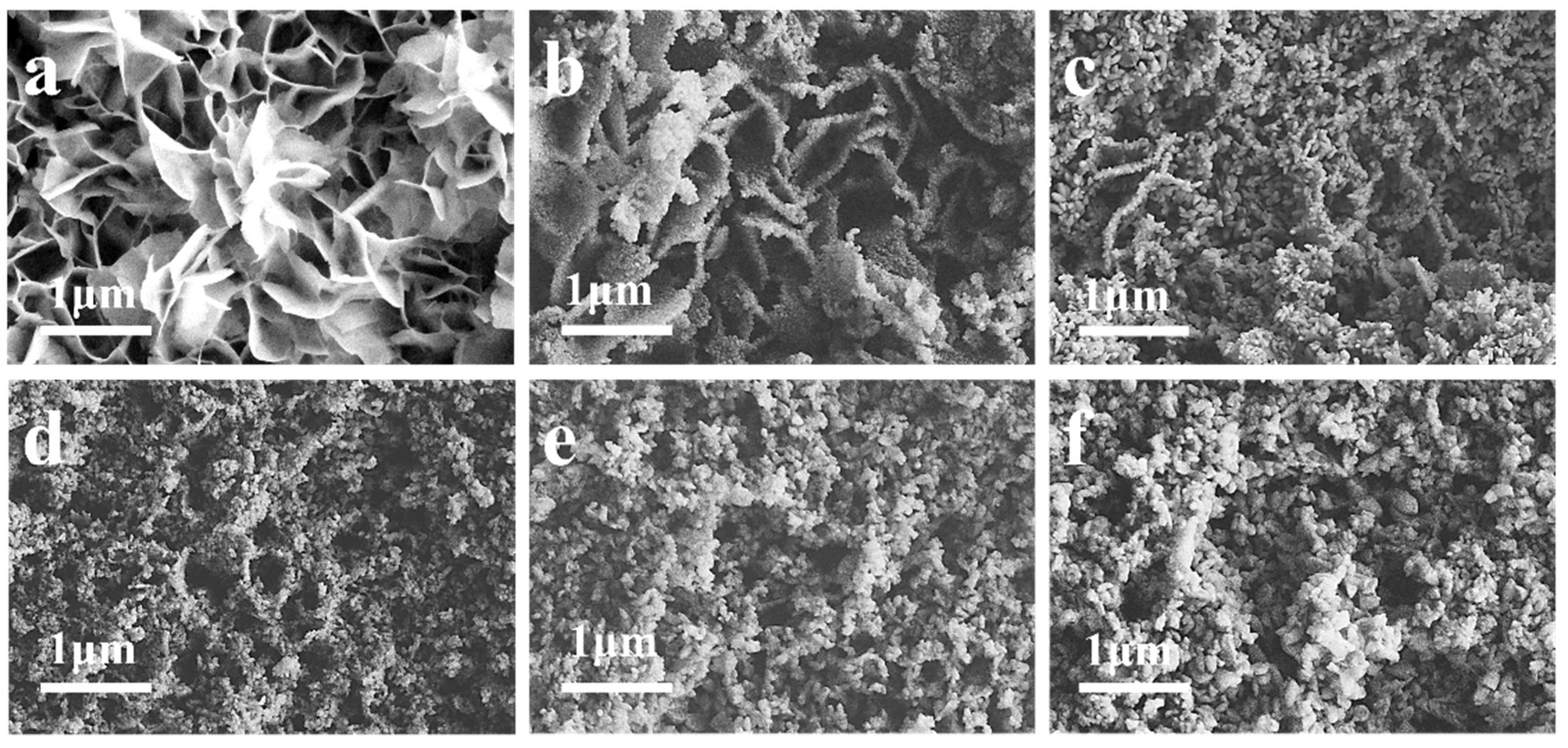 Coatings 12 00461 g004 550