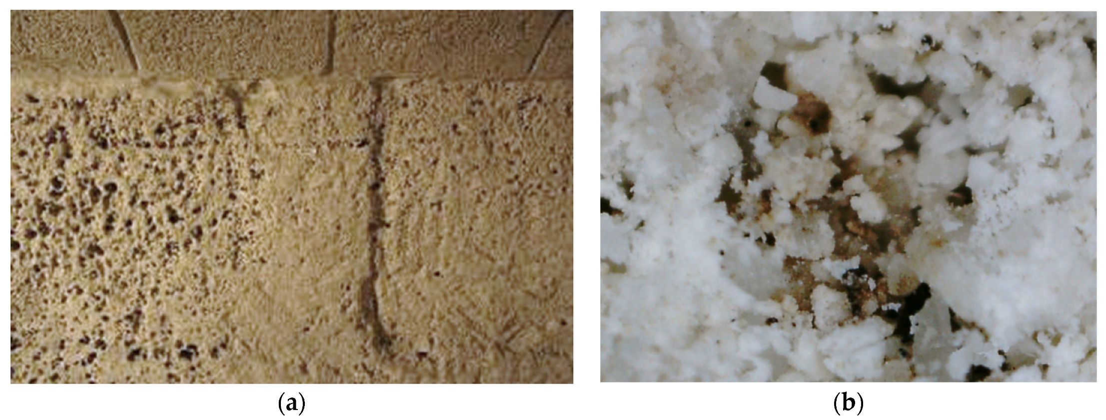 Coatings 12 00462 g003