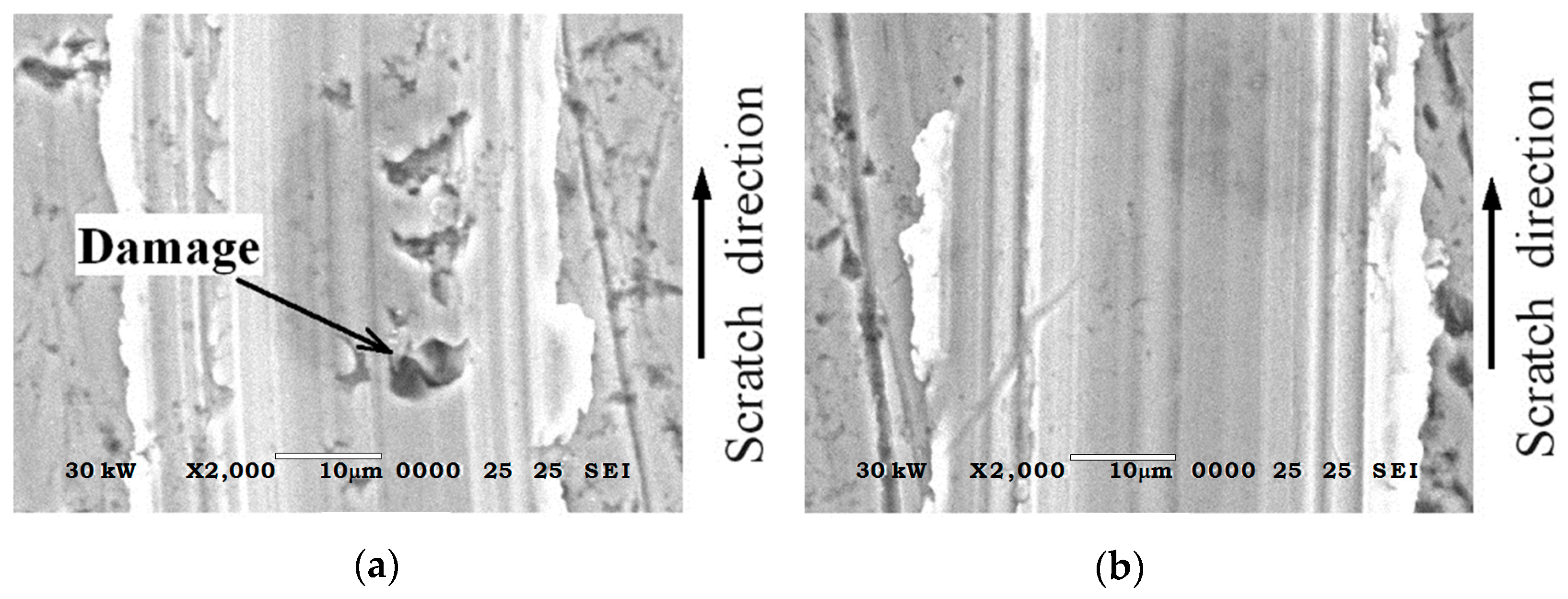 Coatings 12 00463 g001 550