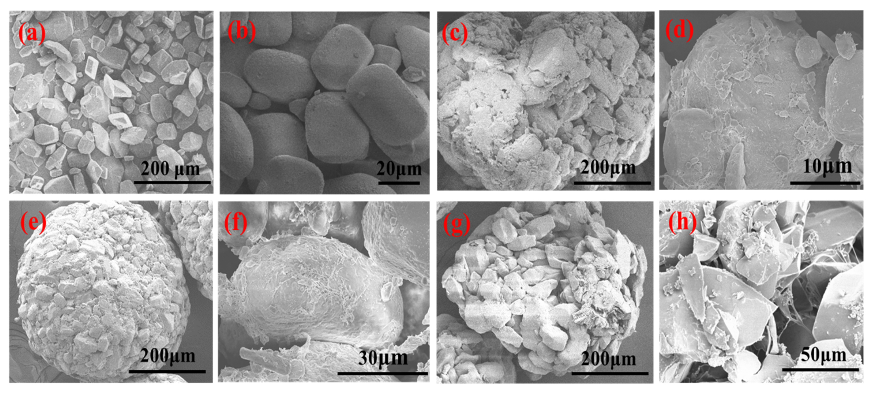 Coatings 12 00464 g004