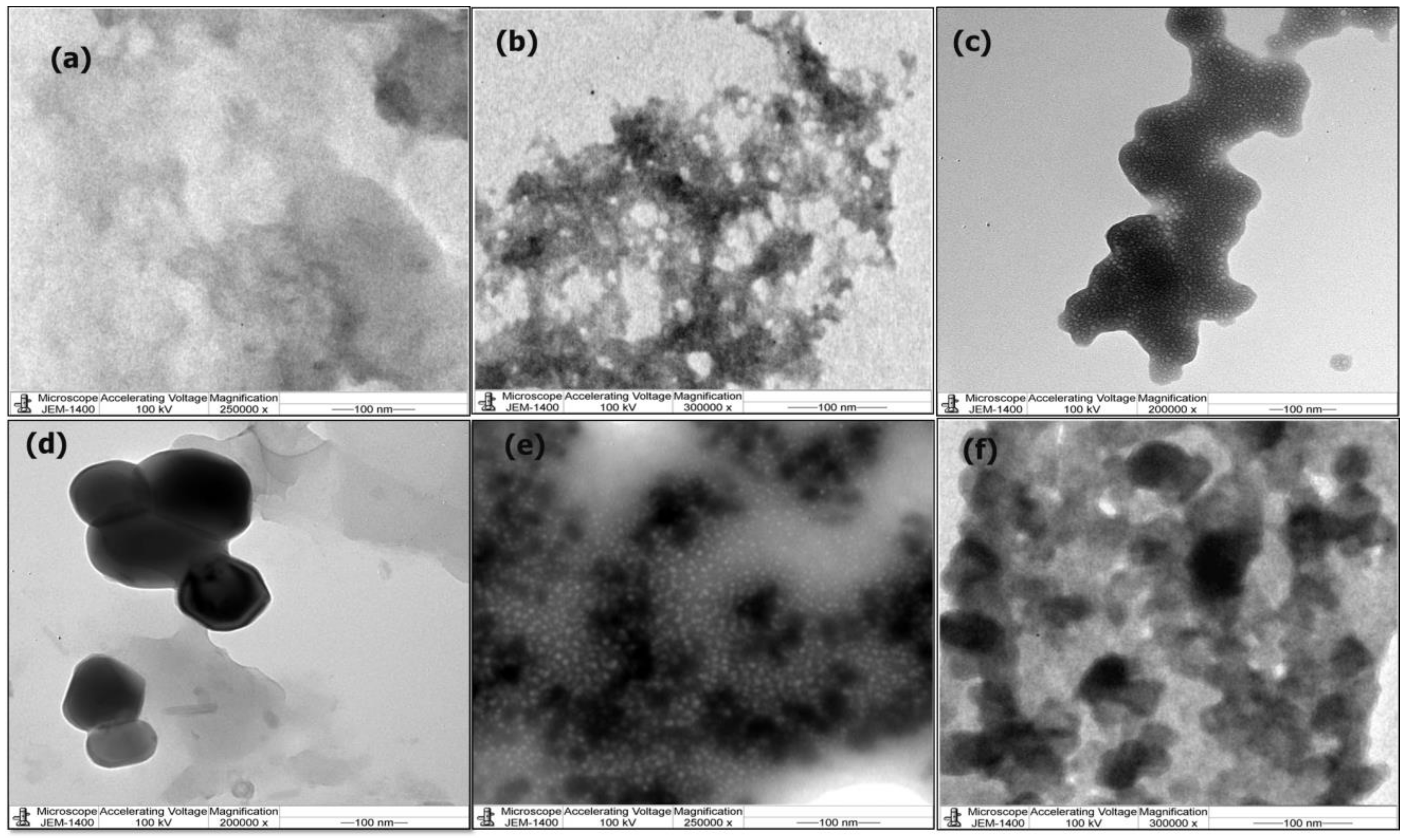 Coatings 12 00465 g004 550