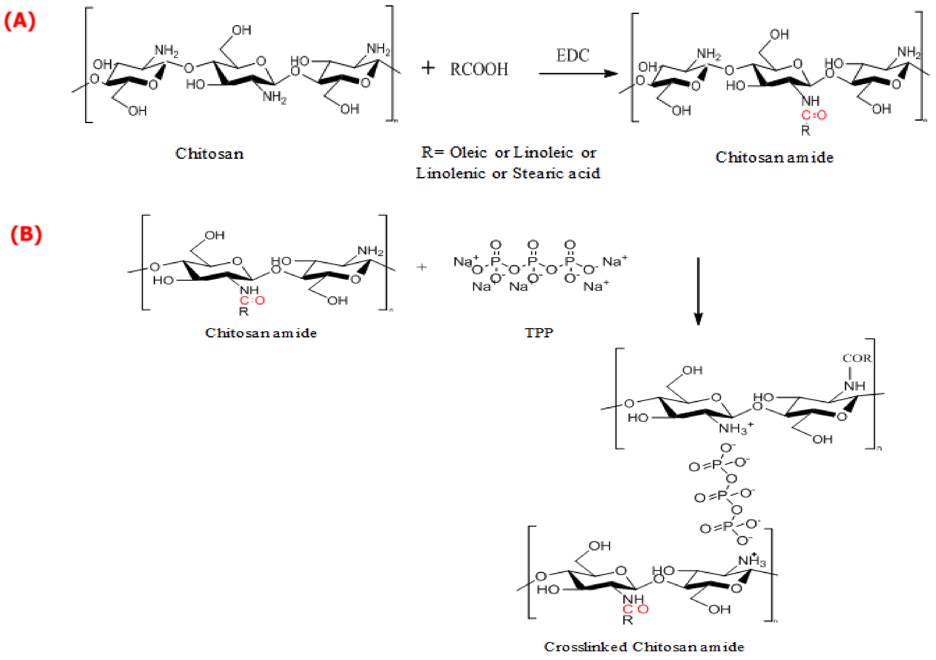 Coatings 12 00465 sch001 550