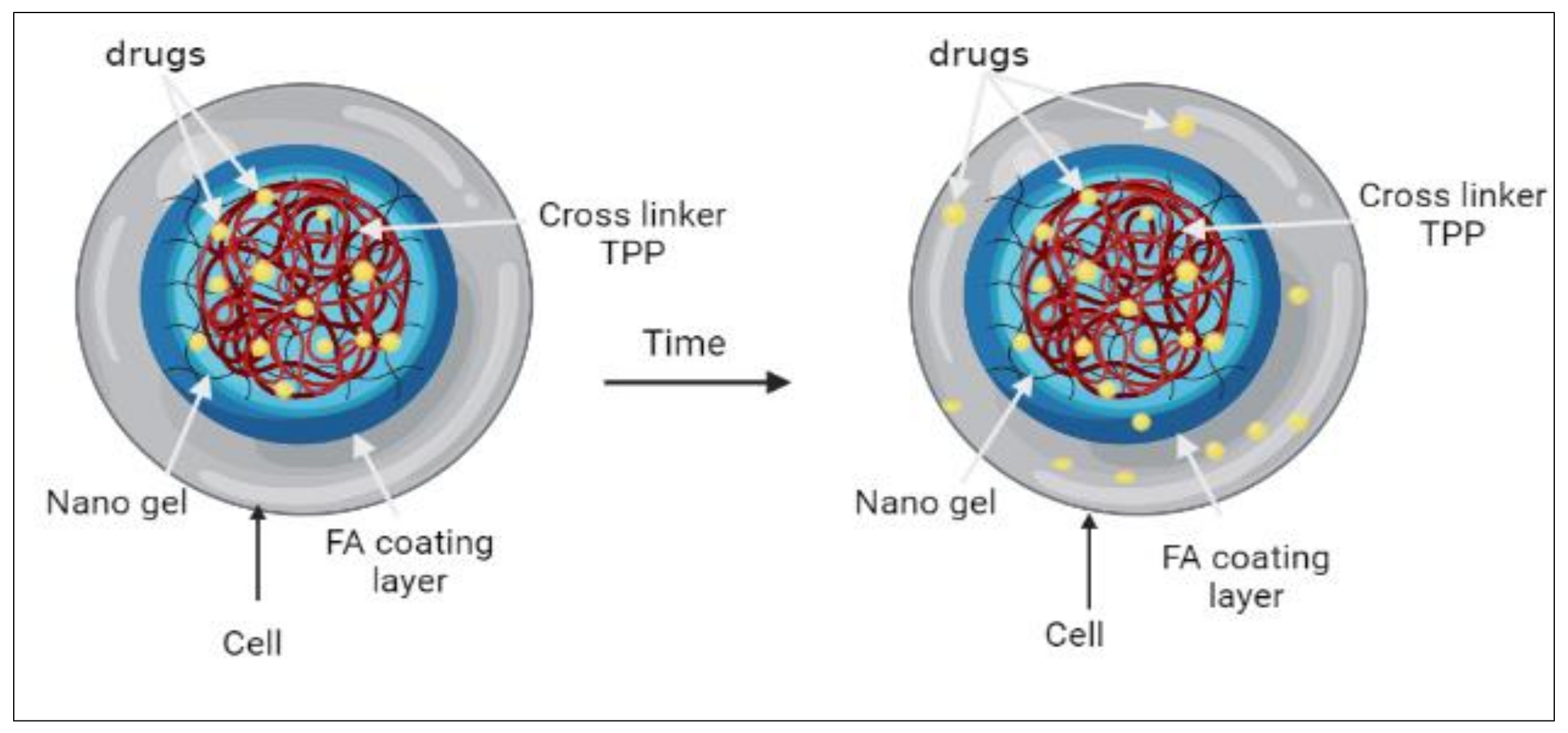 Coatings 12 00465 sch002 550