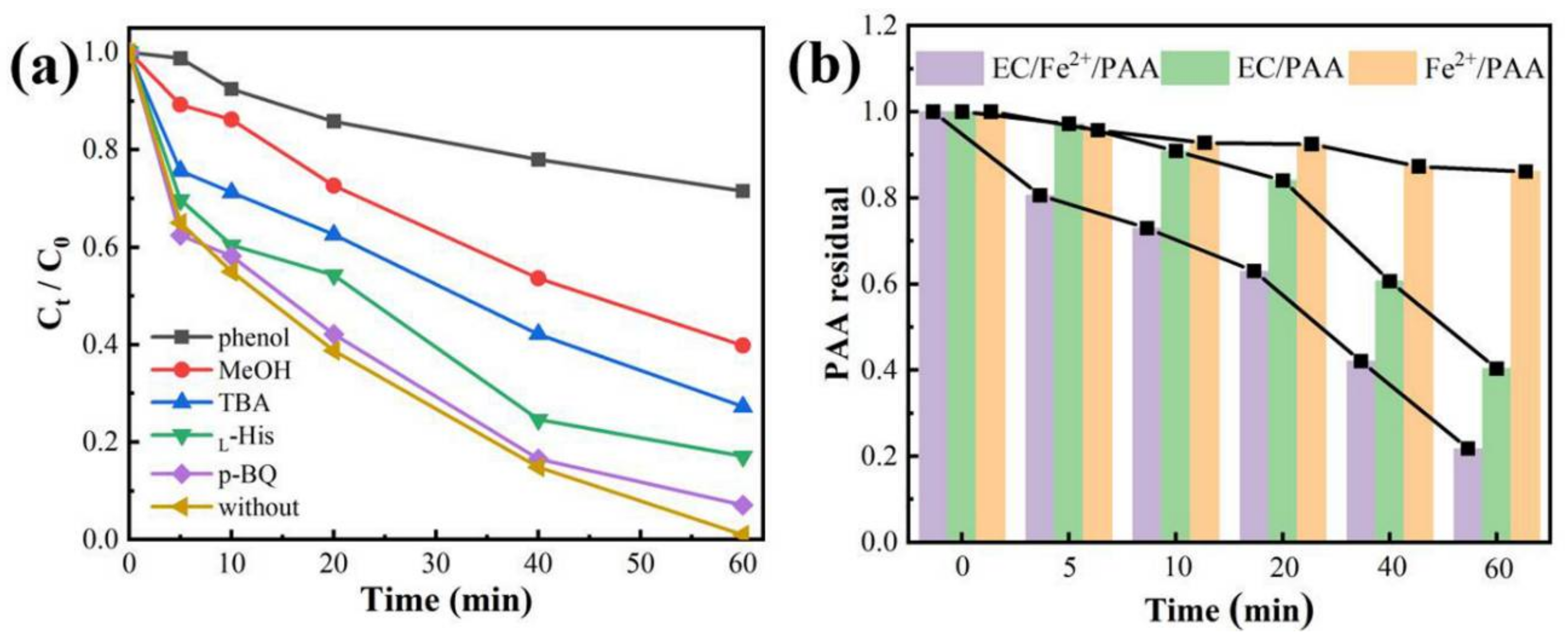 Coatings 12 00466 g003