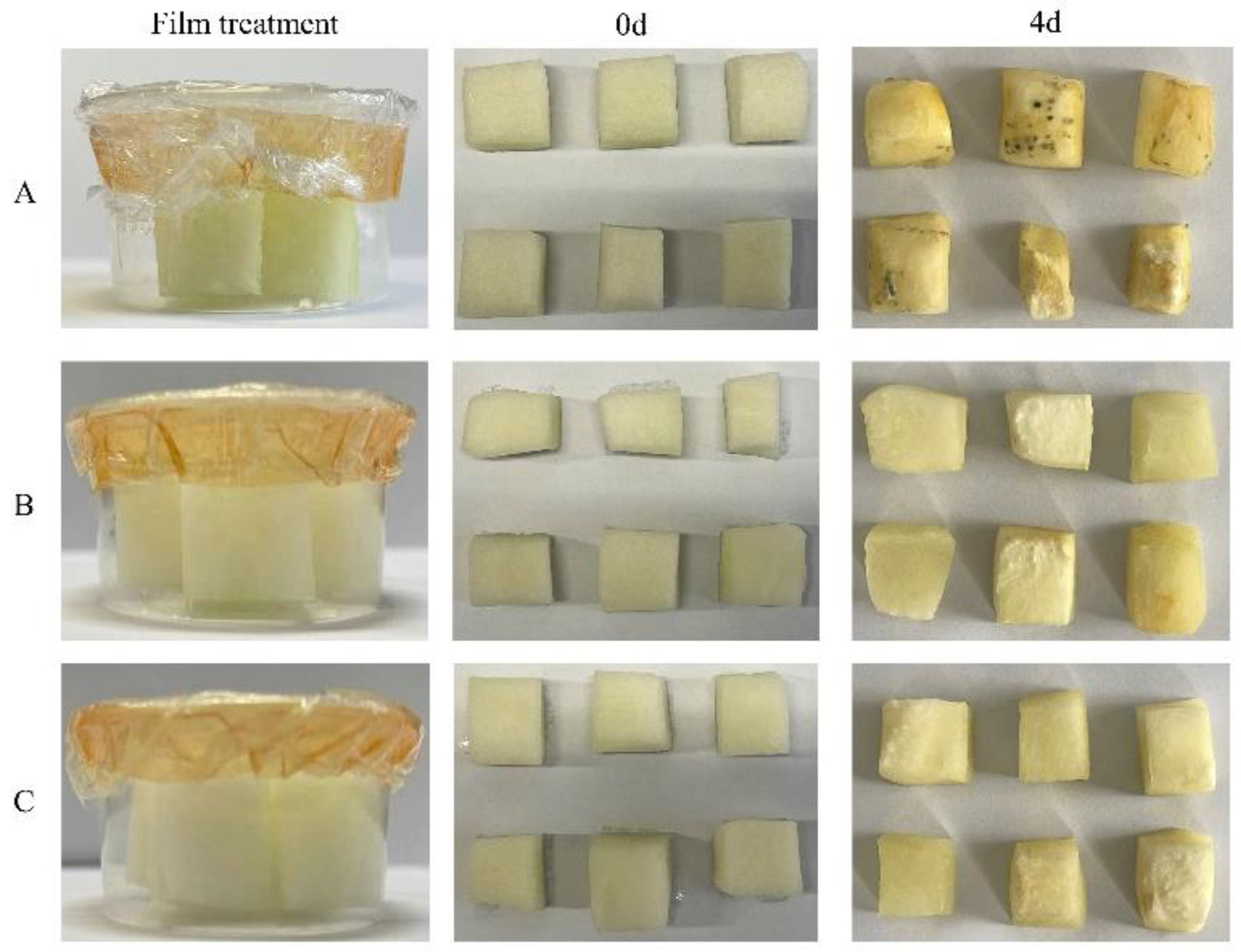 Coatings 12 00468 g006