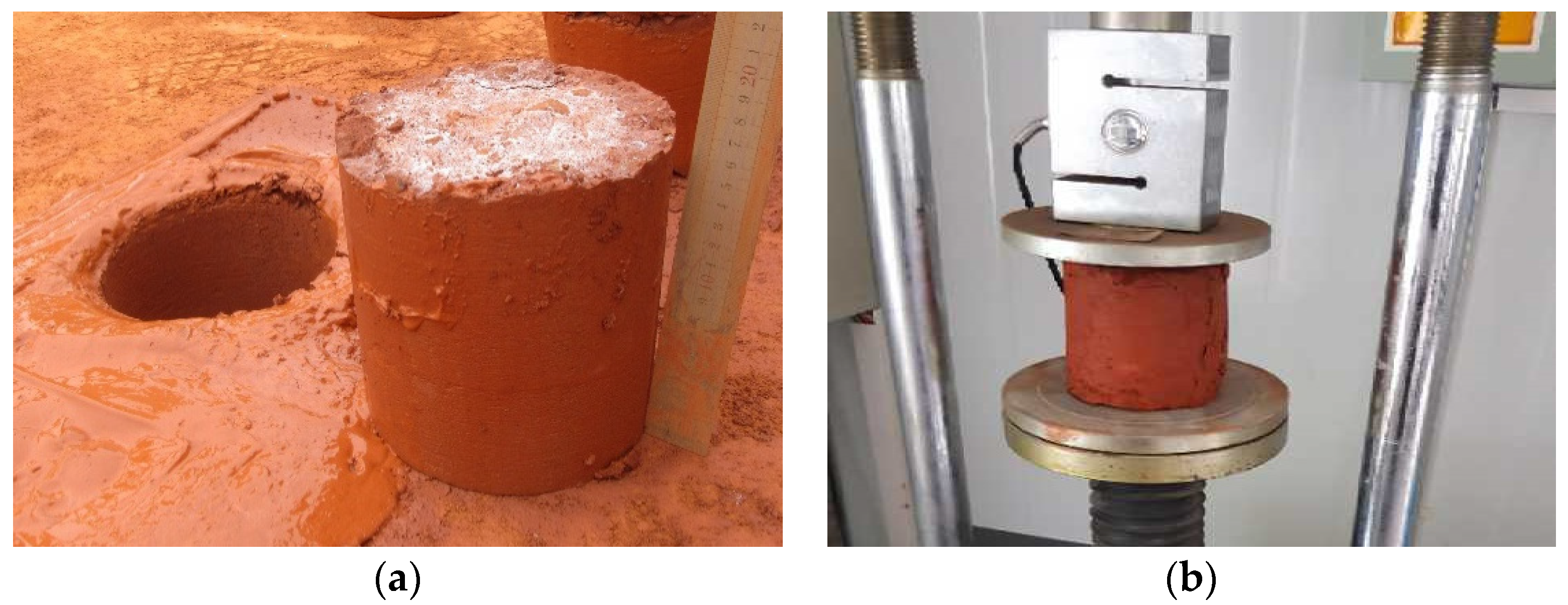 Coatings 12 00471 g009 550