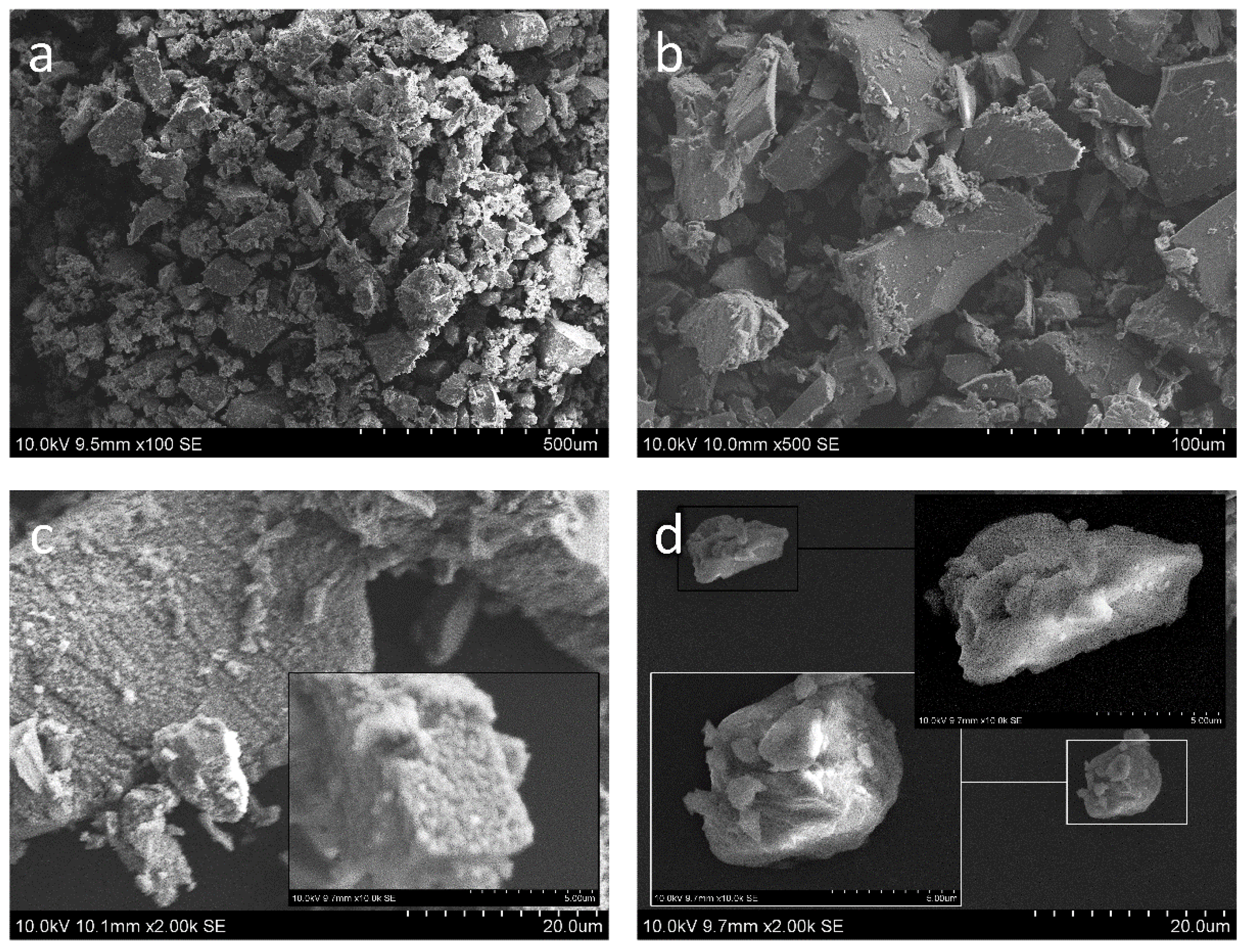 Coatings 12 00475 g002