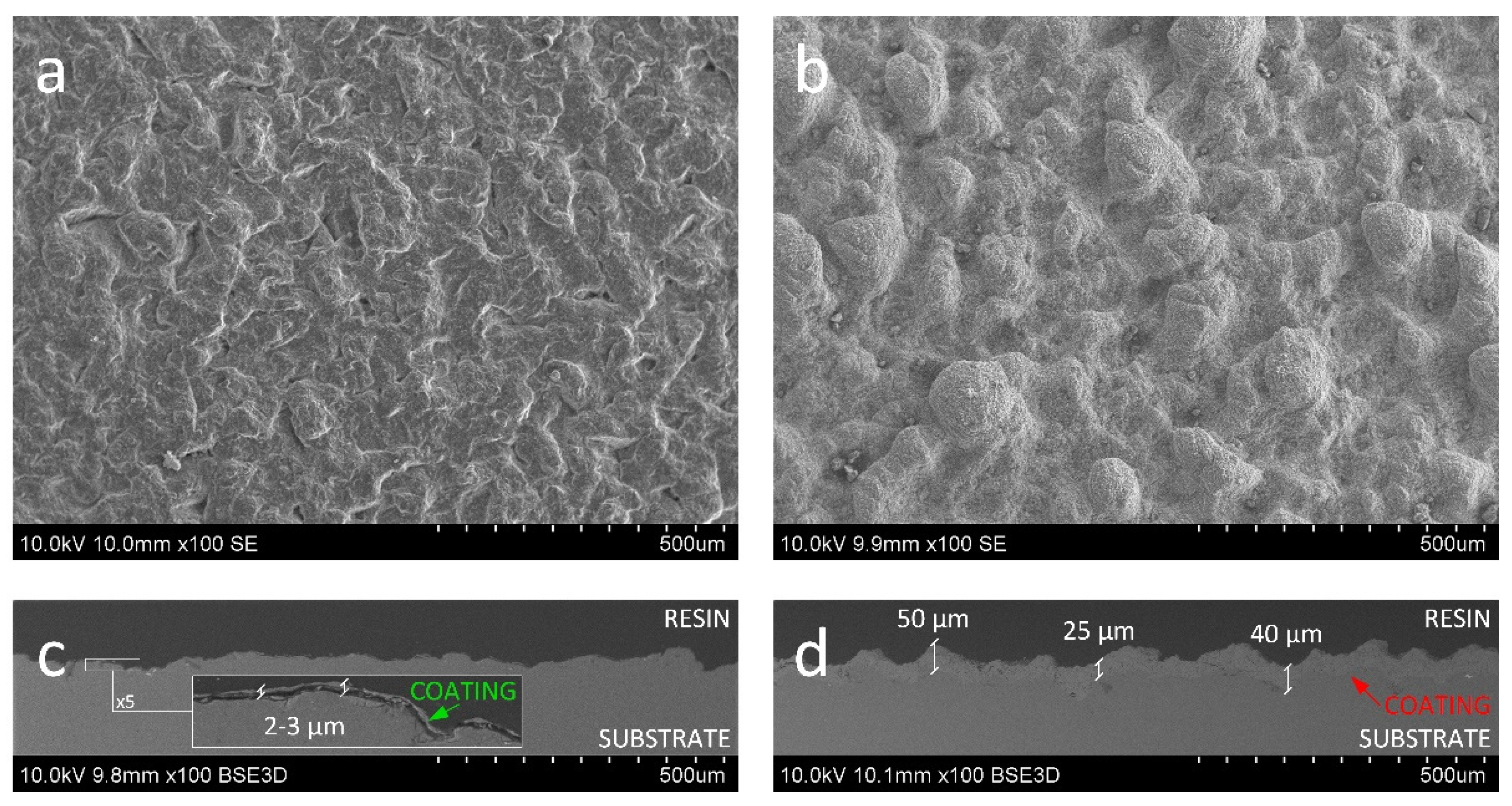 Coatings 12 00475 g003