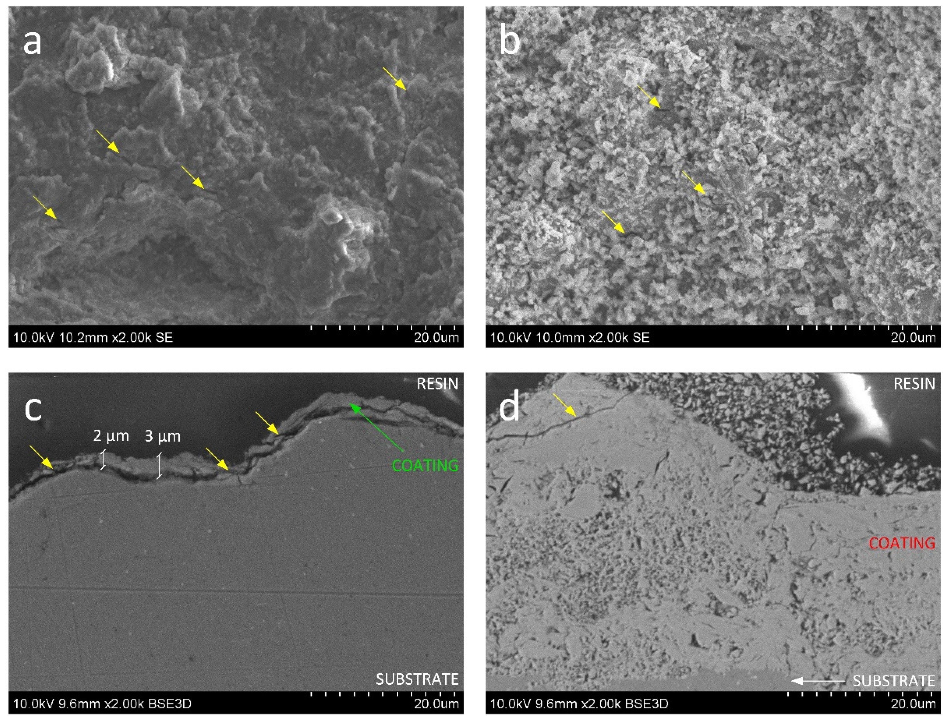 Coatings 12 00475 g004