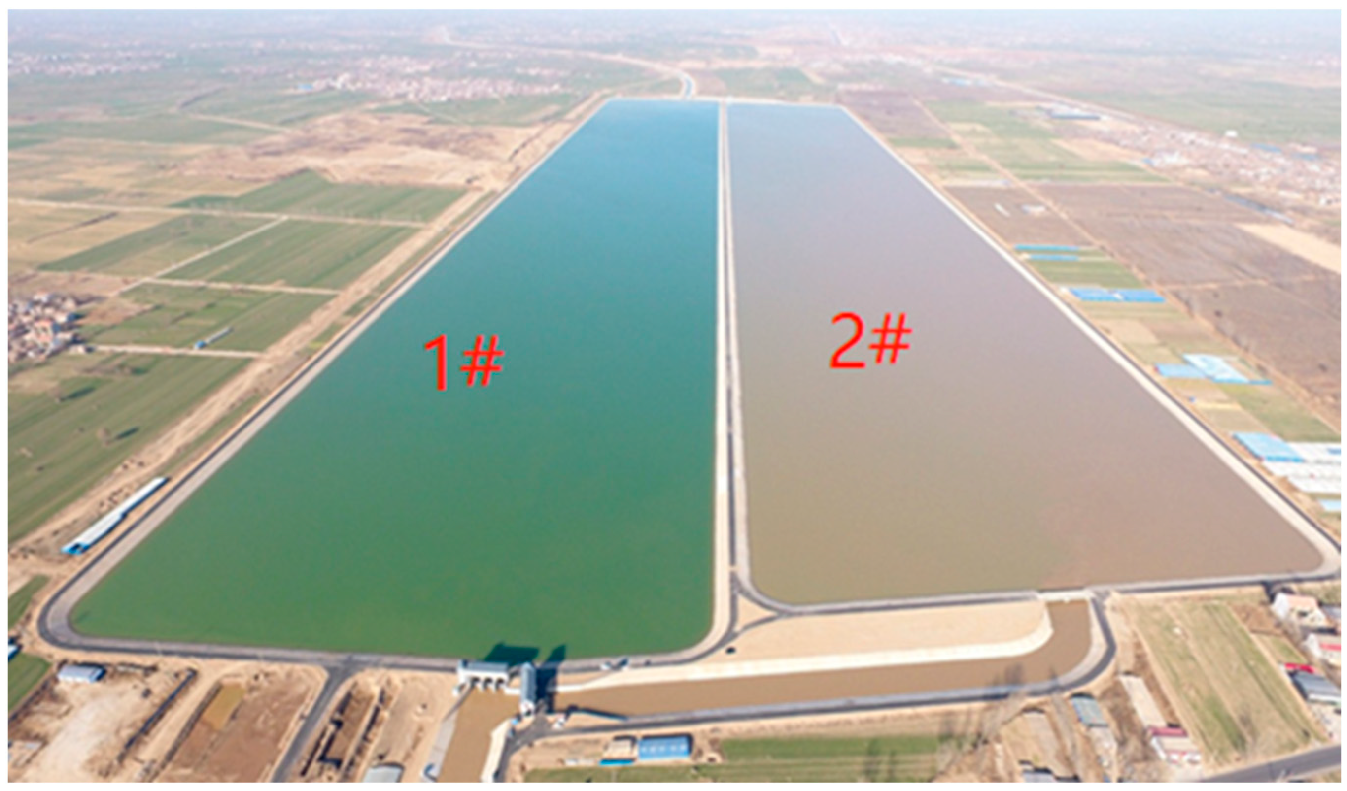 Coatings 12 00478 g002 550