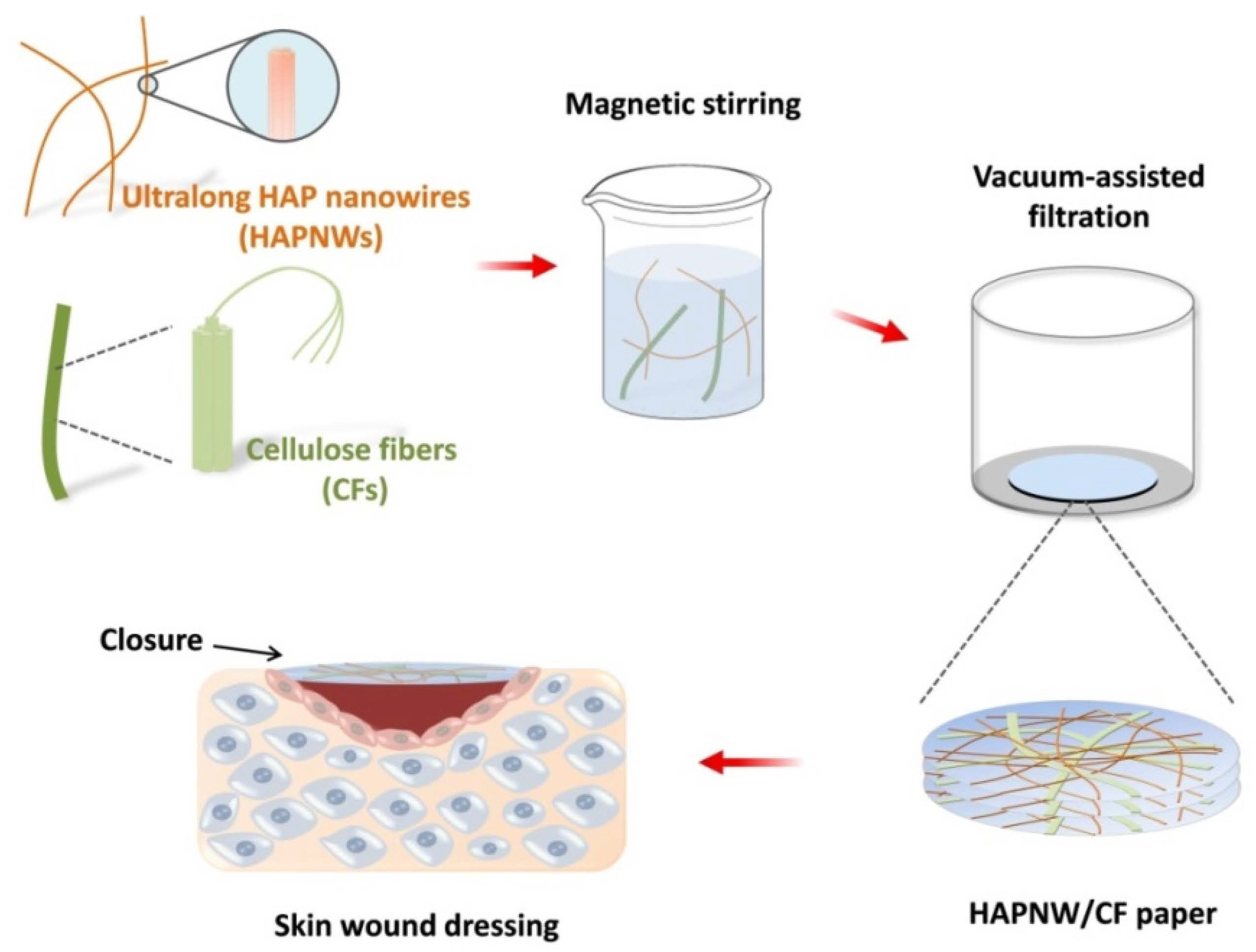 Coatings 12 00479 g001 550