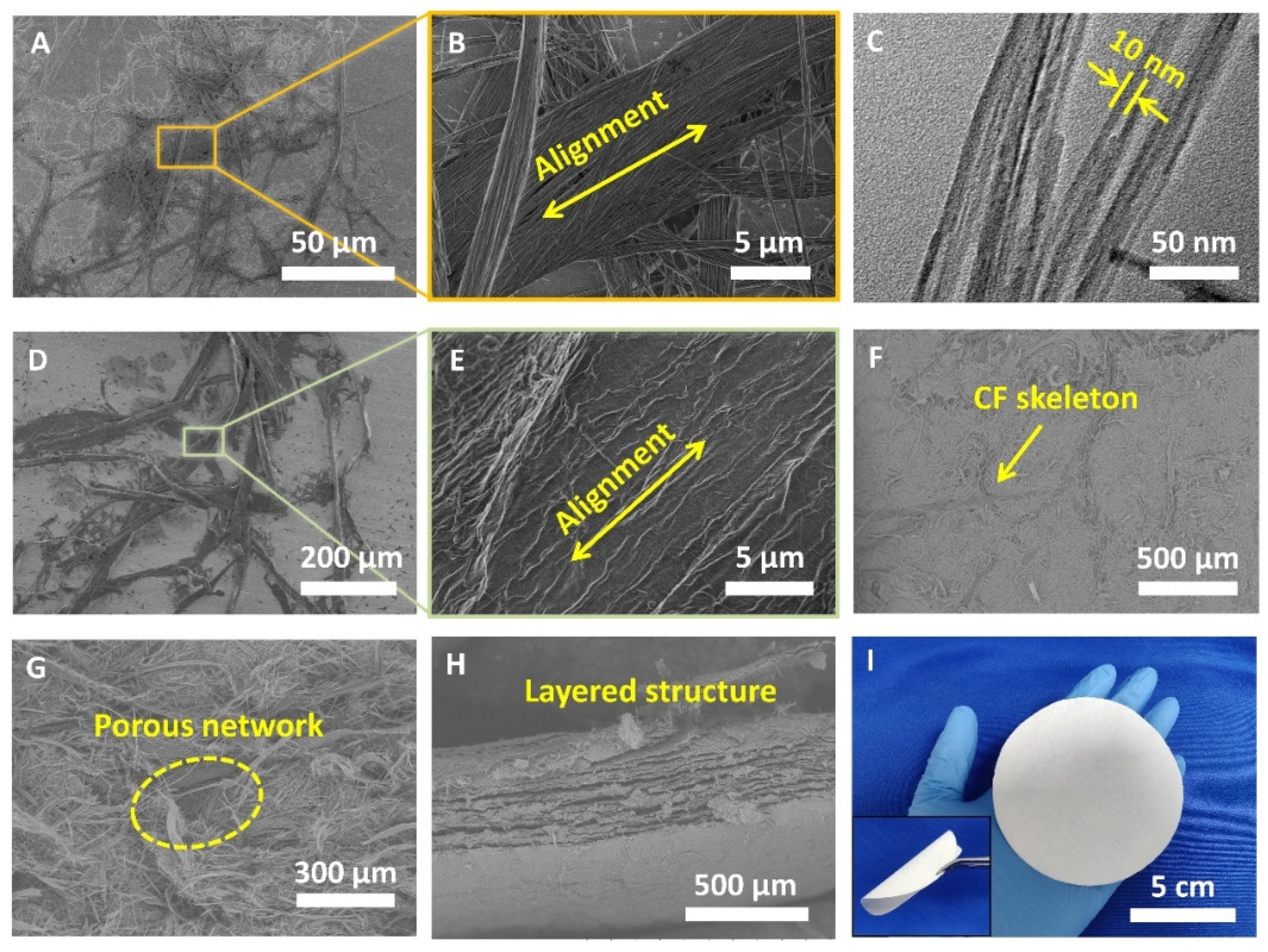 Coatings 12 00479 g002 550