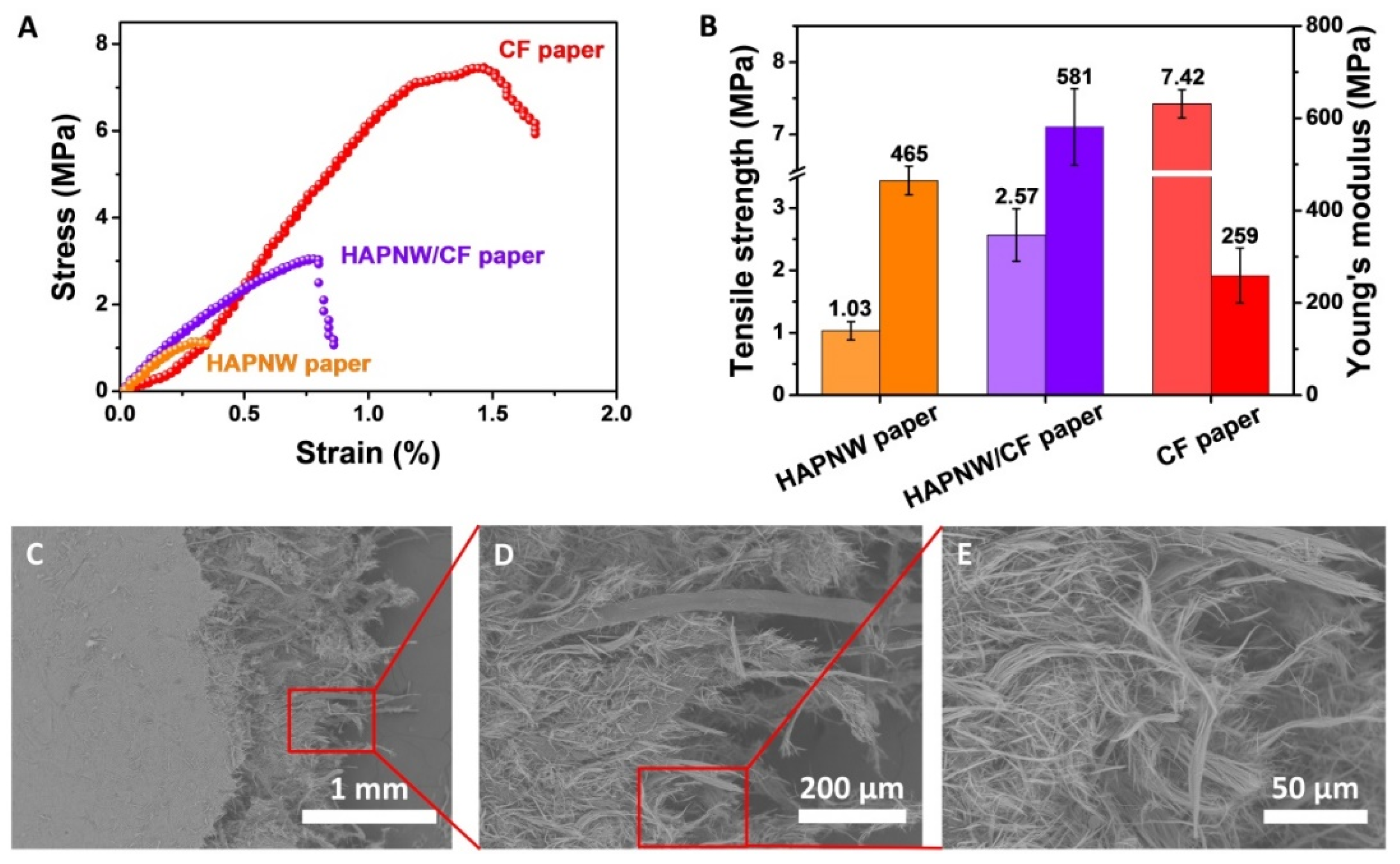 Coatings 12 00479 g005 550