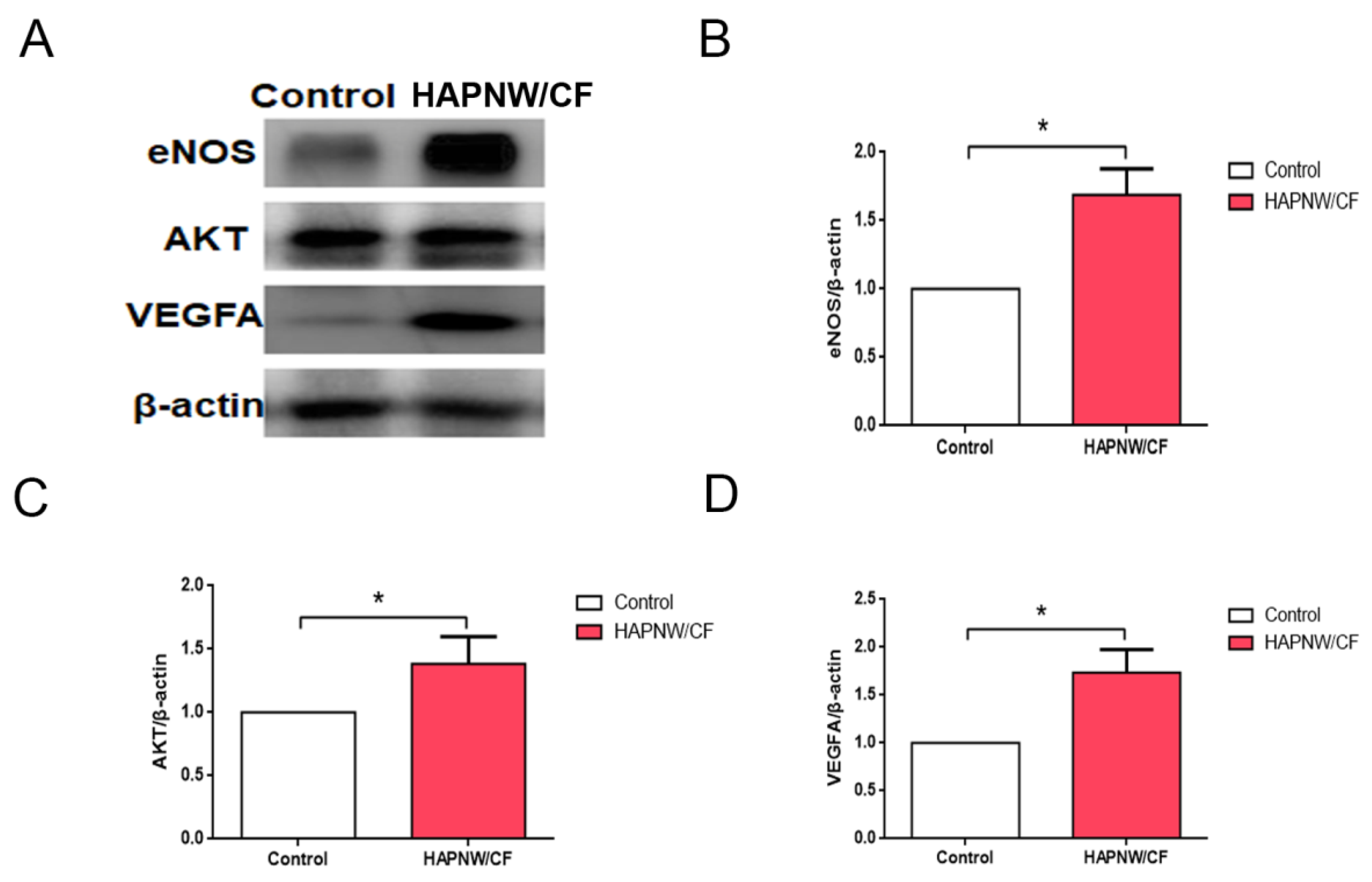 Coatings 12 00479 g009 550