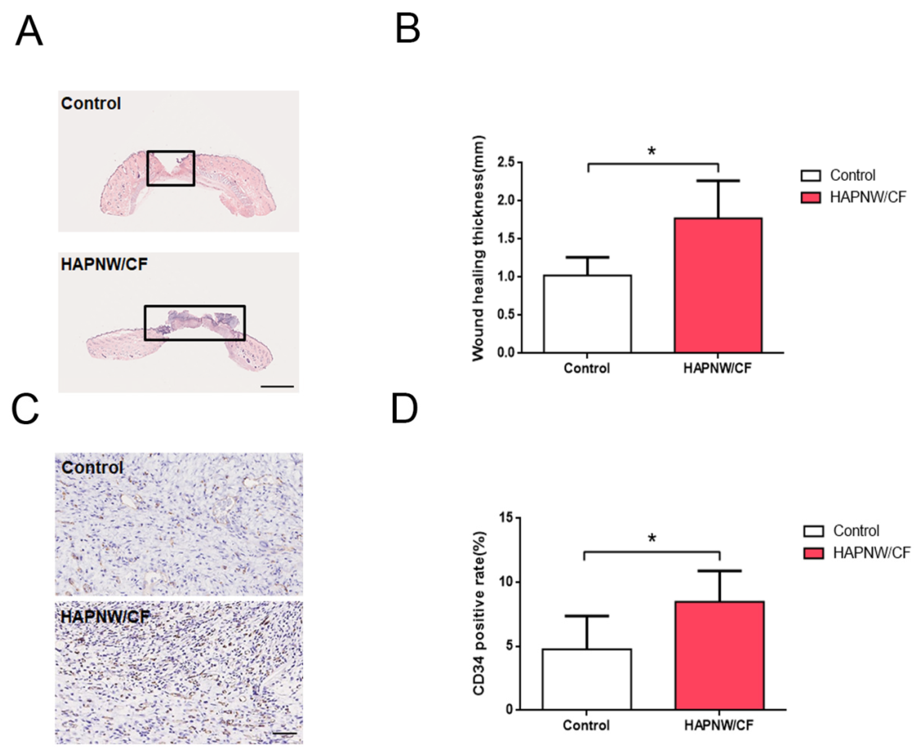 Coatings 12 00479 g010 550
