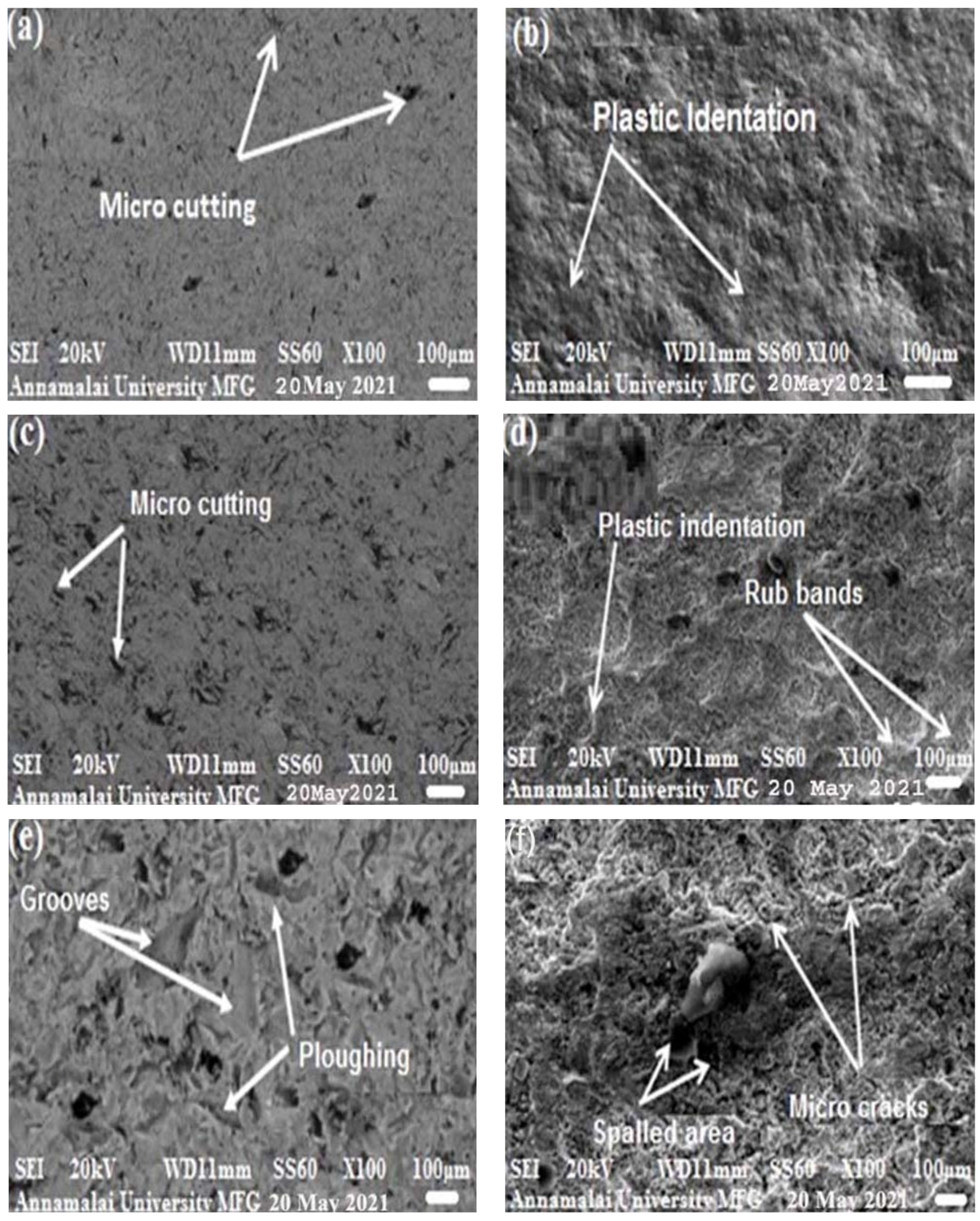 Coatings 12 00482 g006