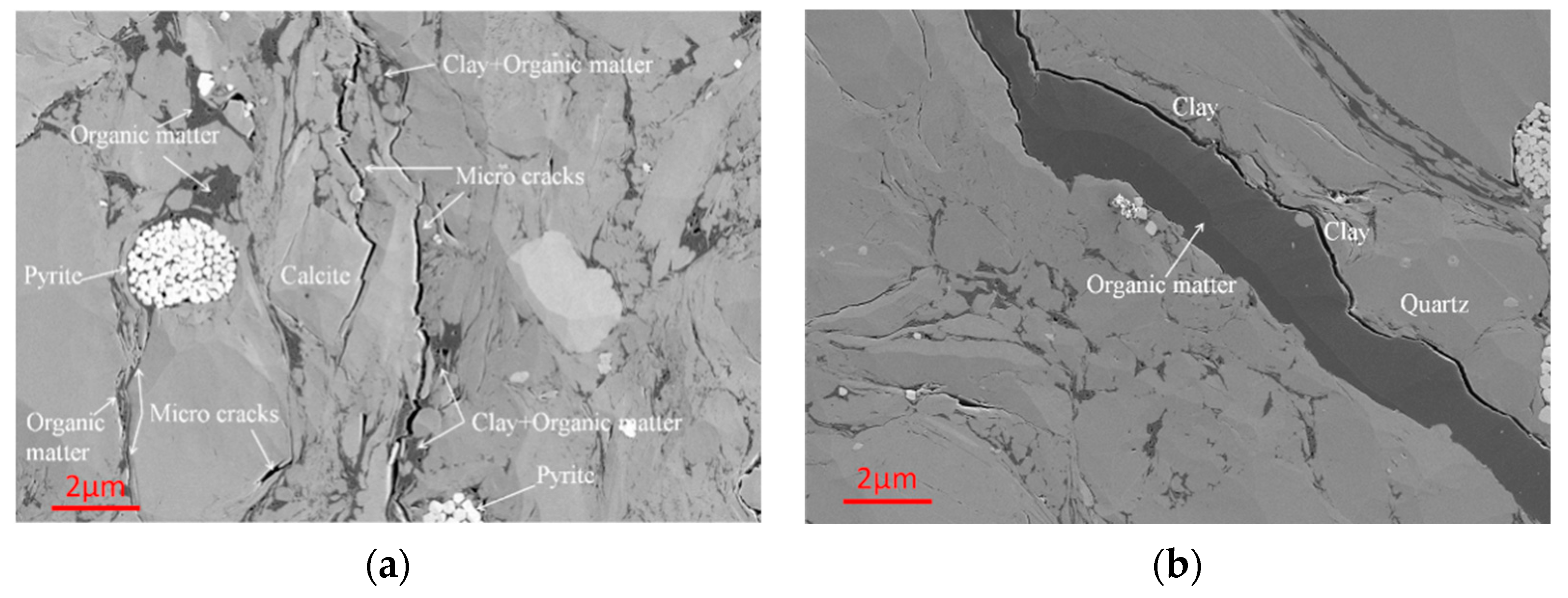 Coatings 12 00483 g004