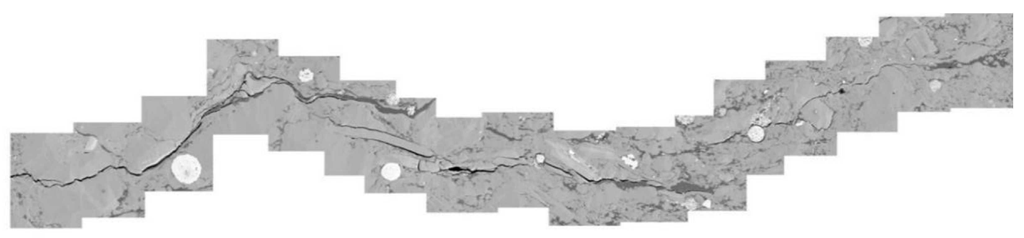 Coatings 12 00483 g005