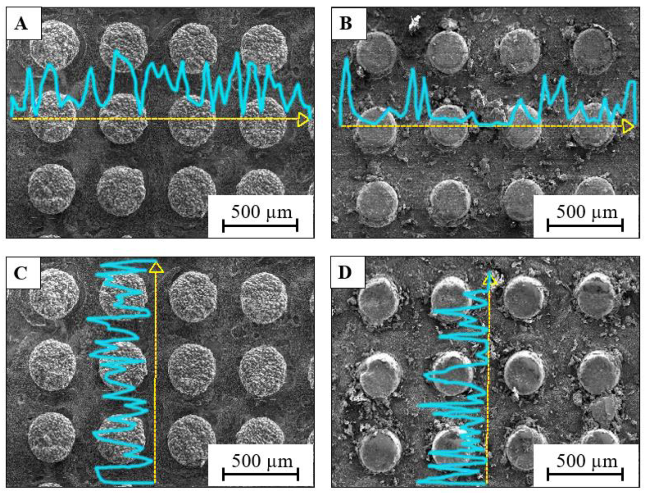 Coatings 12 00485 g003