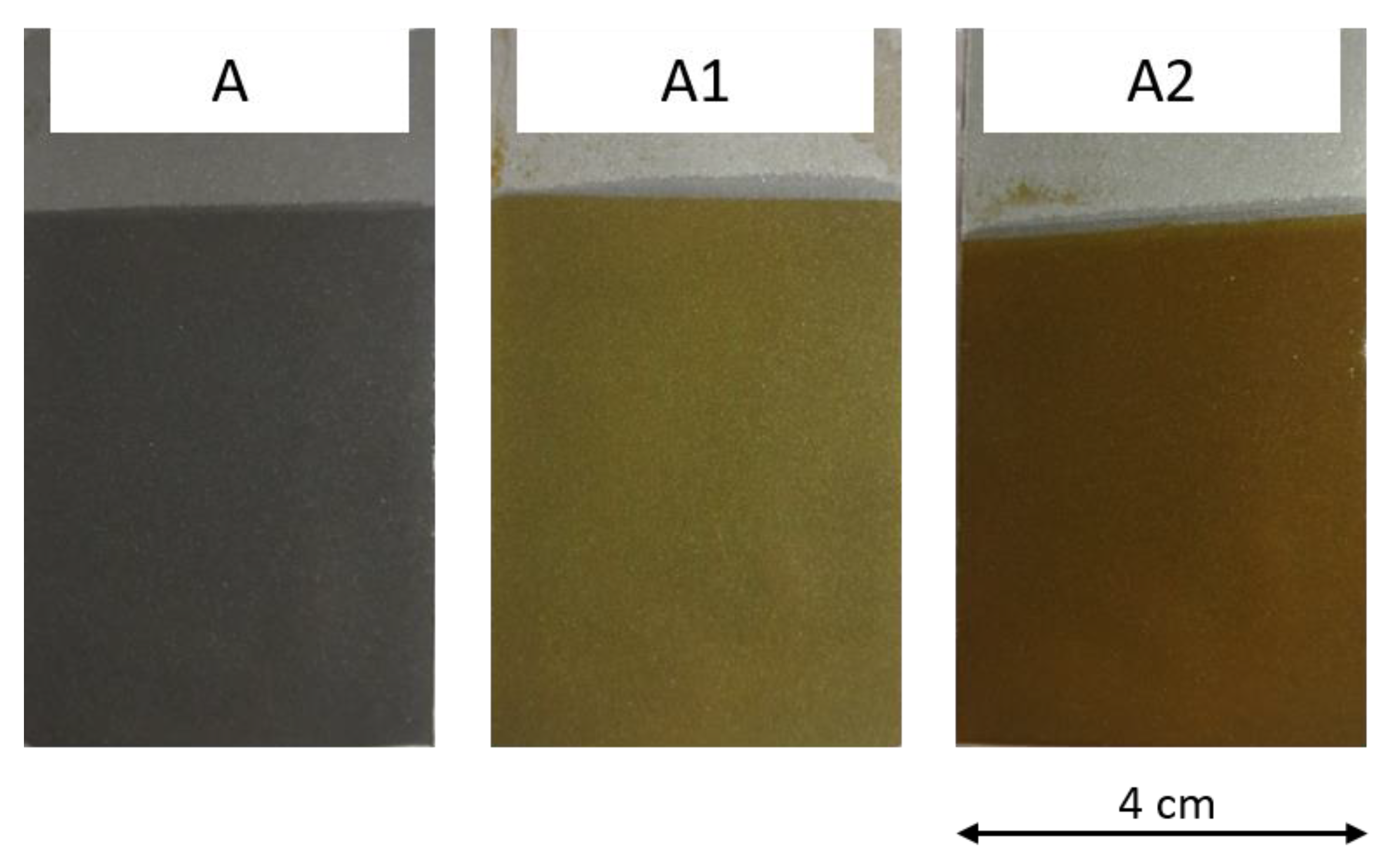 Coatings 12 00486 g003