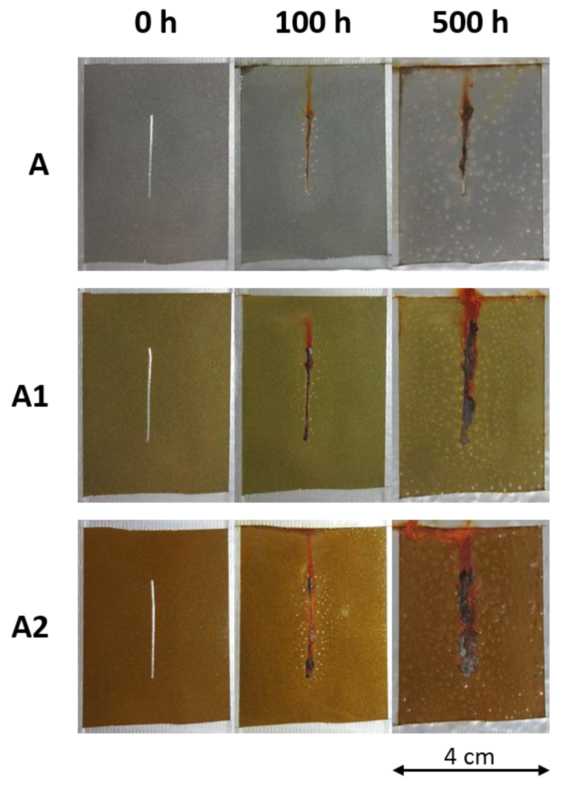 Coatings 12 00486 g006
