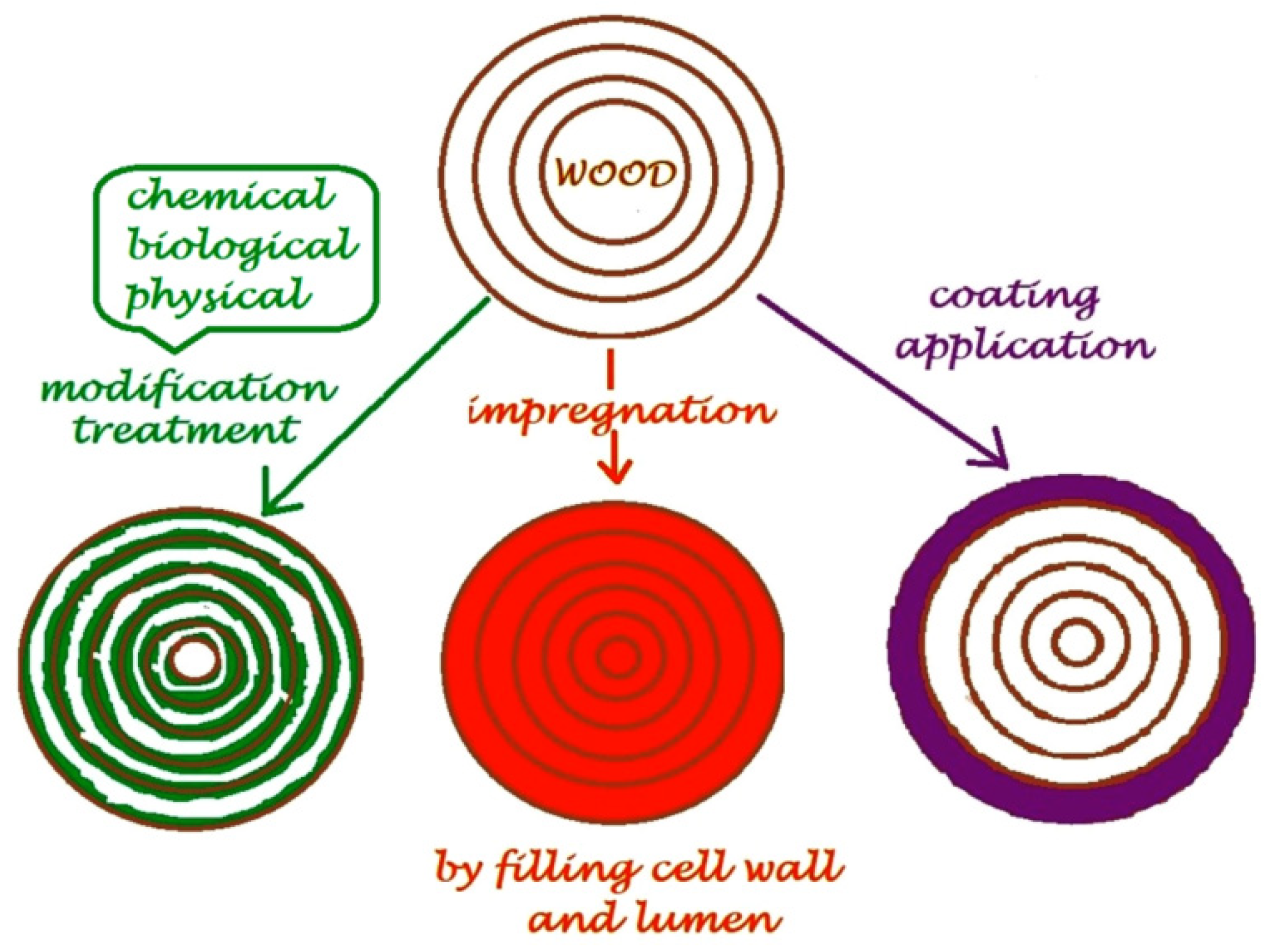 Coatings 12 00487 g001