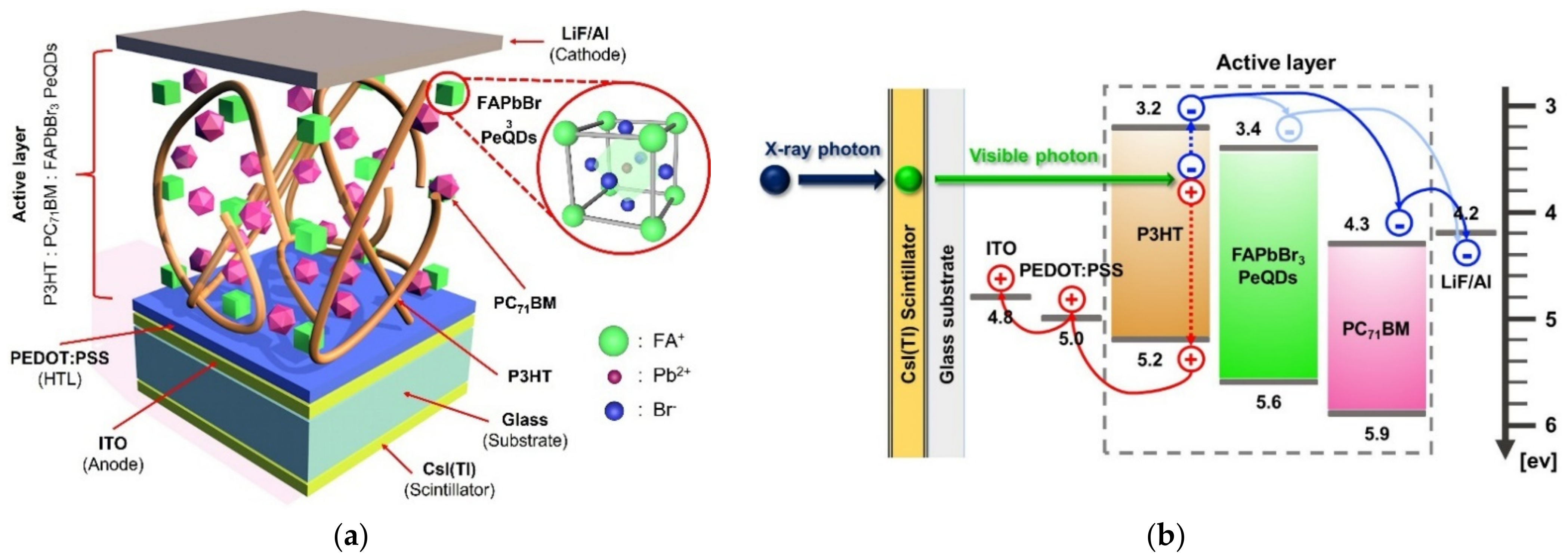 Coatings 12 00492 g001 550