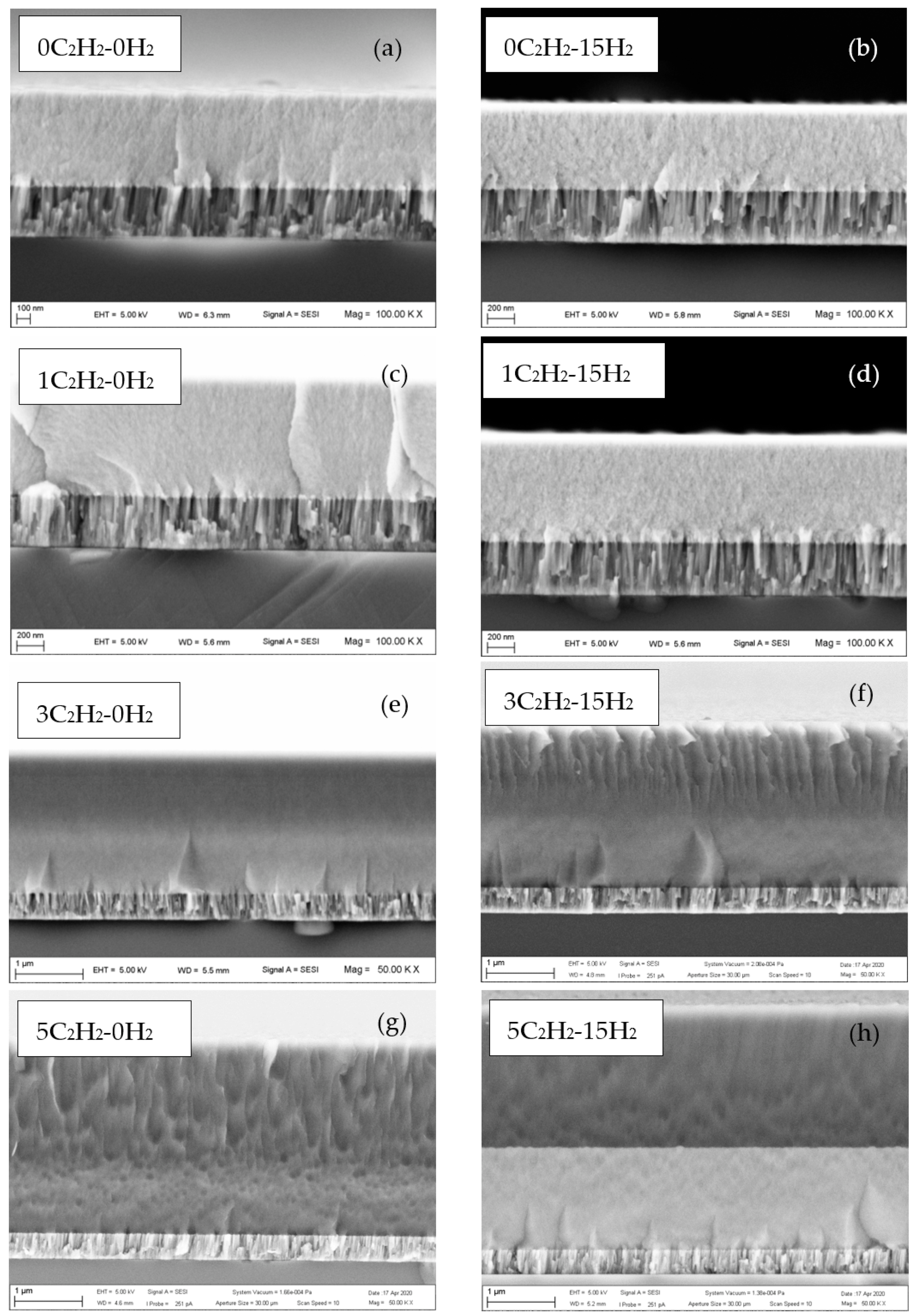 Coatings 12 00493 g001