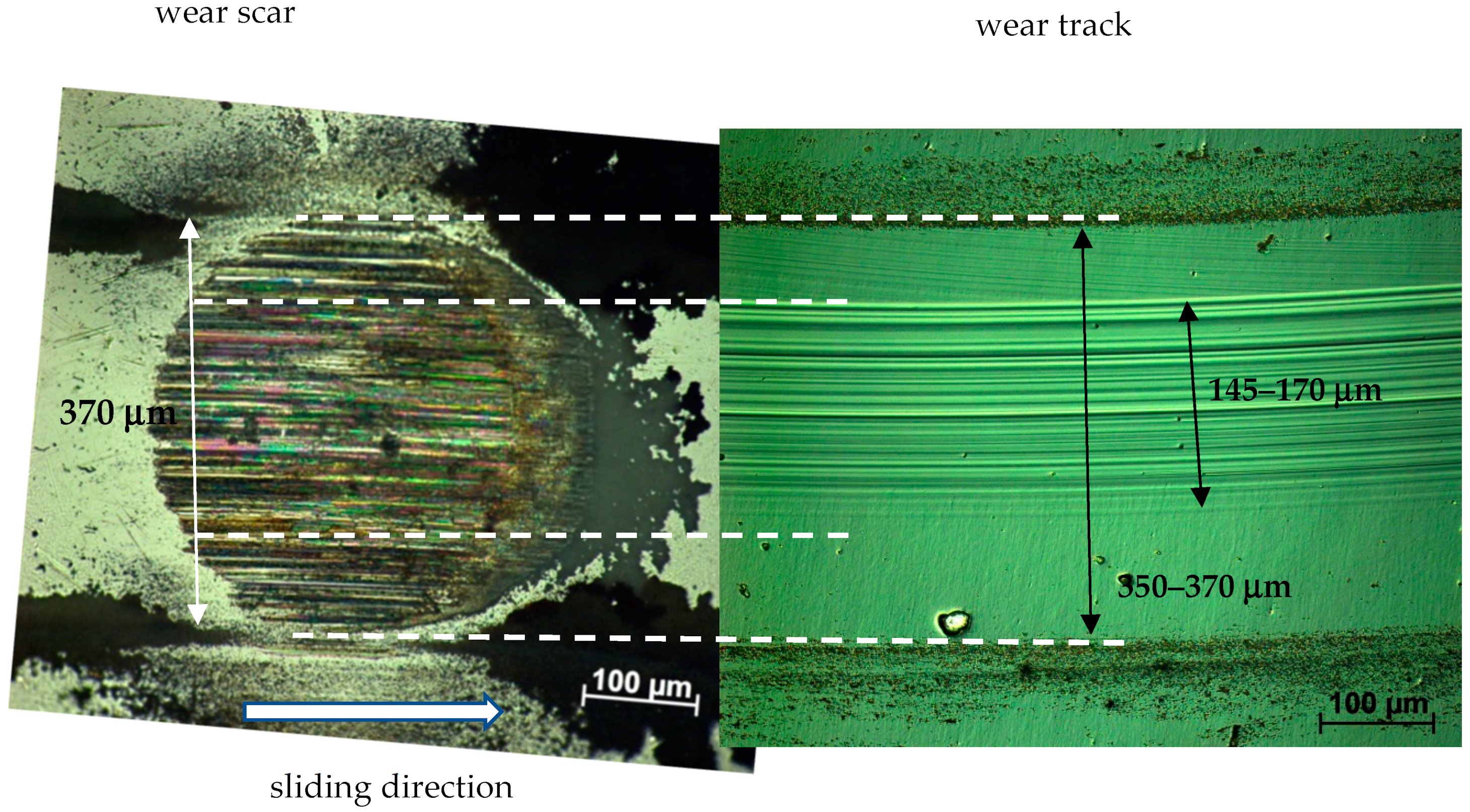 Coatings 12 00493 g007