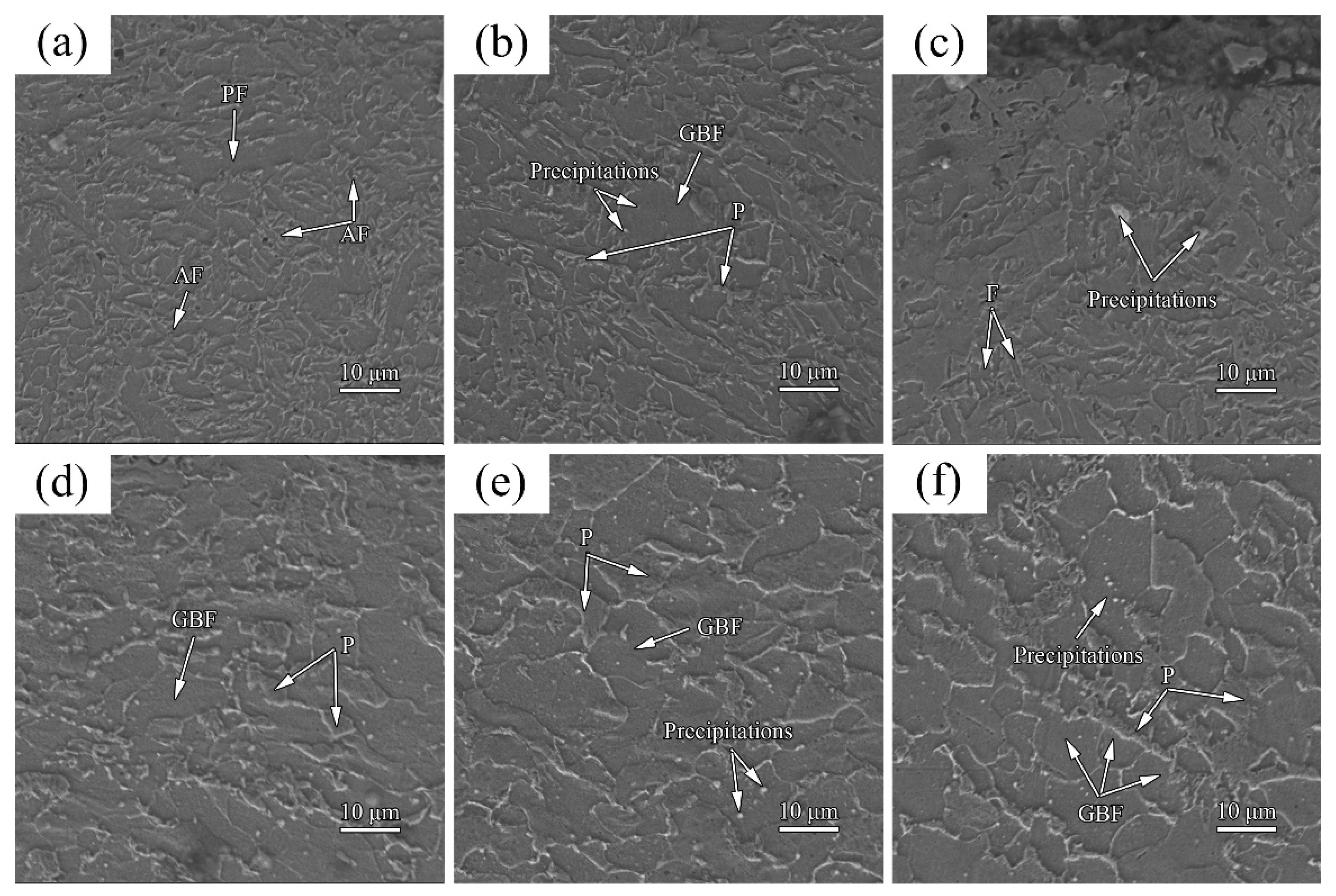 Coatings 12 00495 g004 550