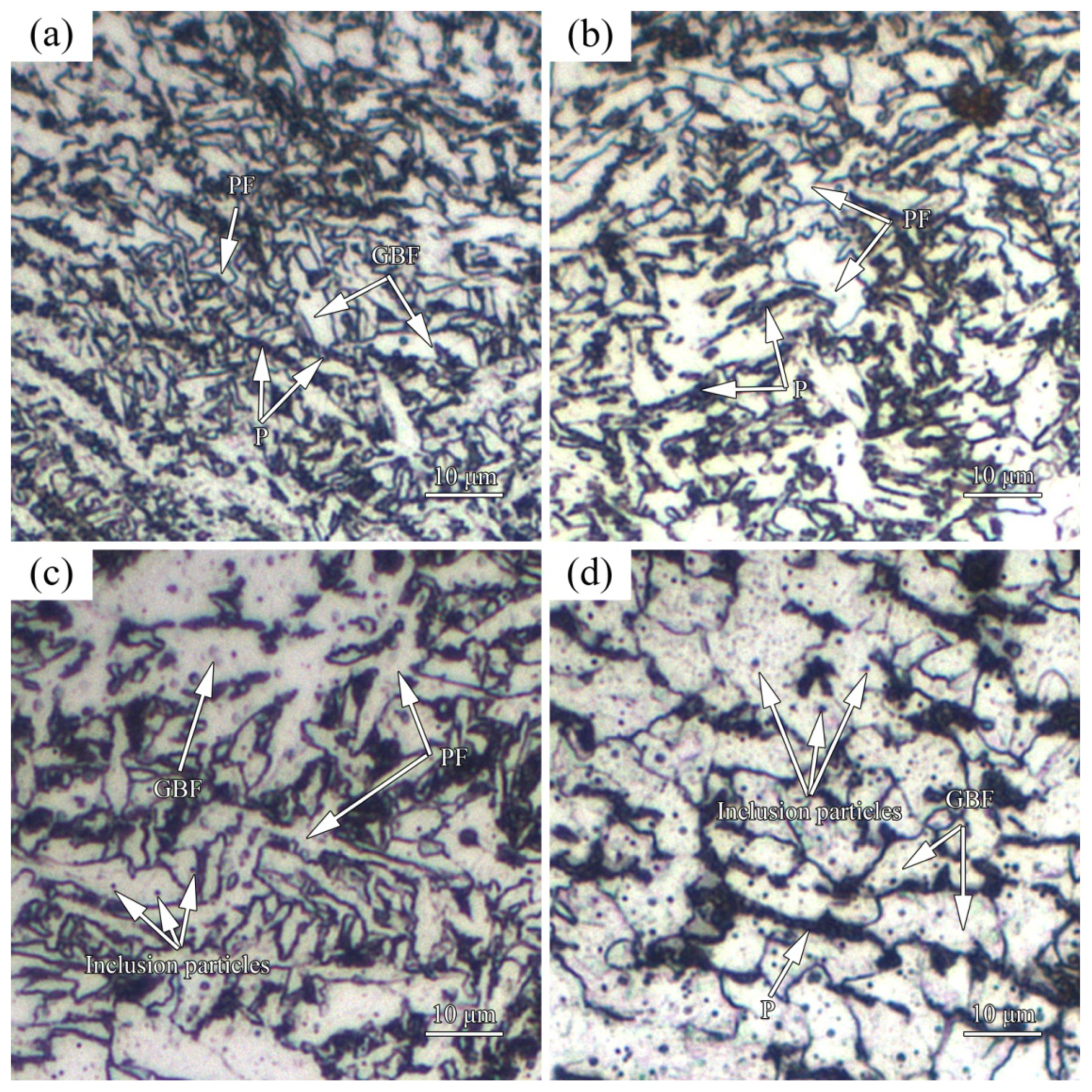 Coatings 12 00495 g005 550