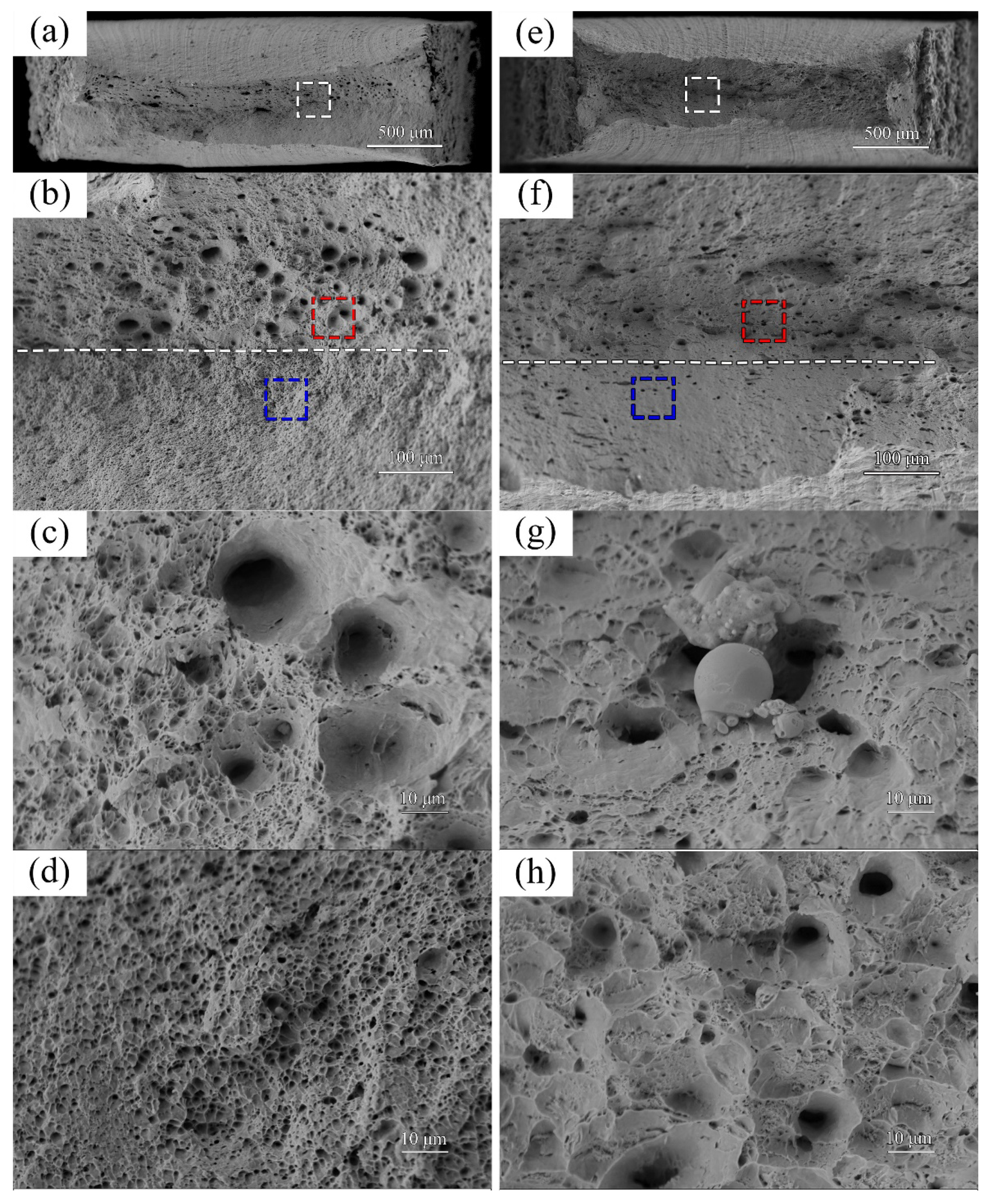 Coatings 12 00495 g009 550