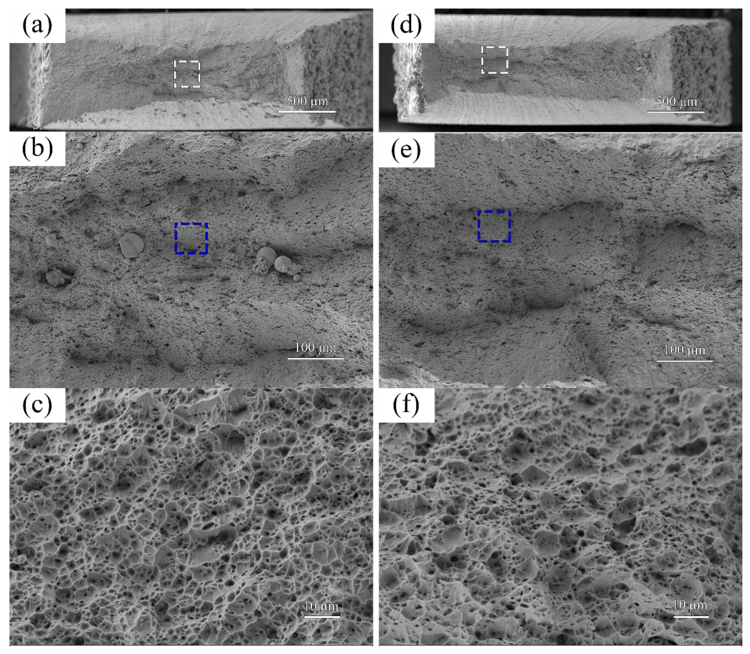 Coatings 12 00495 g010 550