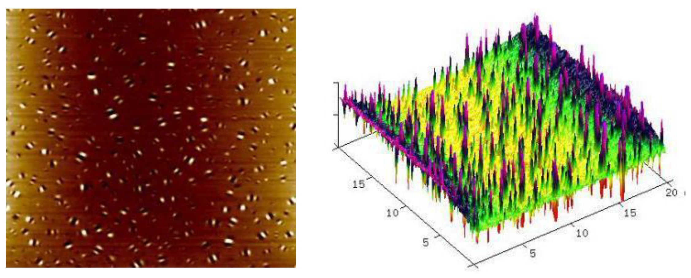 Coatings 12 00496 g001