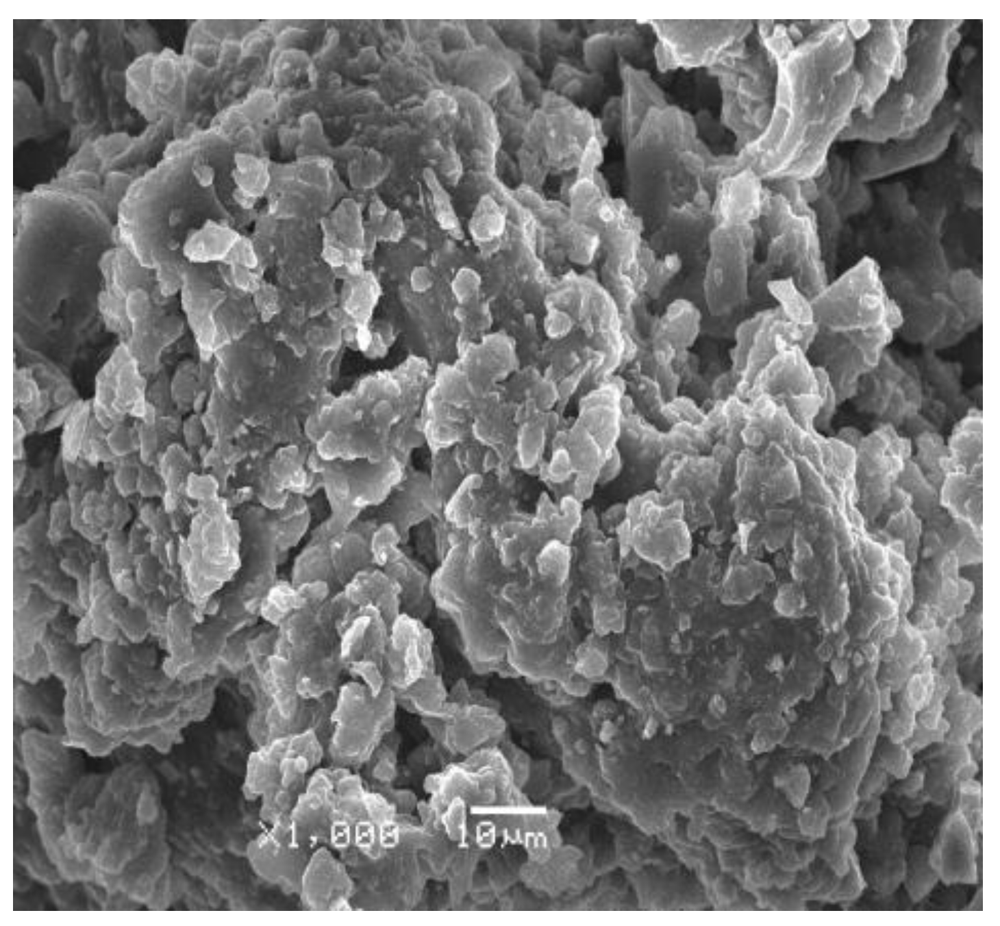 Coatings 12 00496 g004