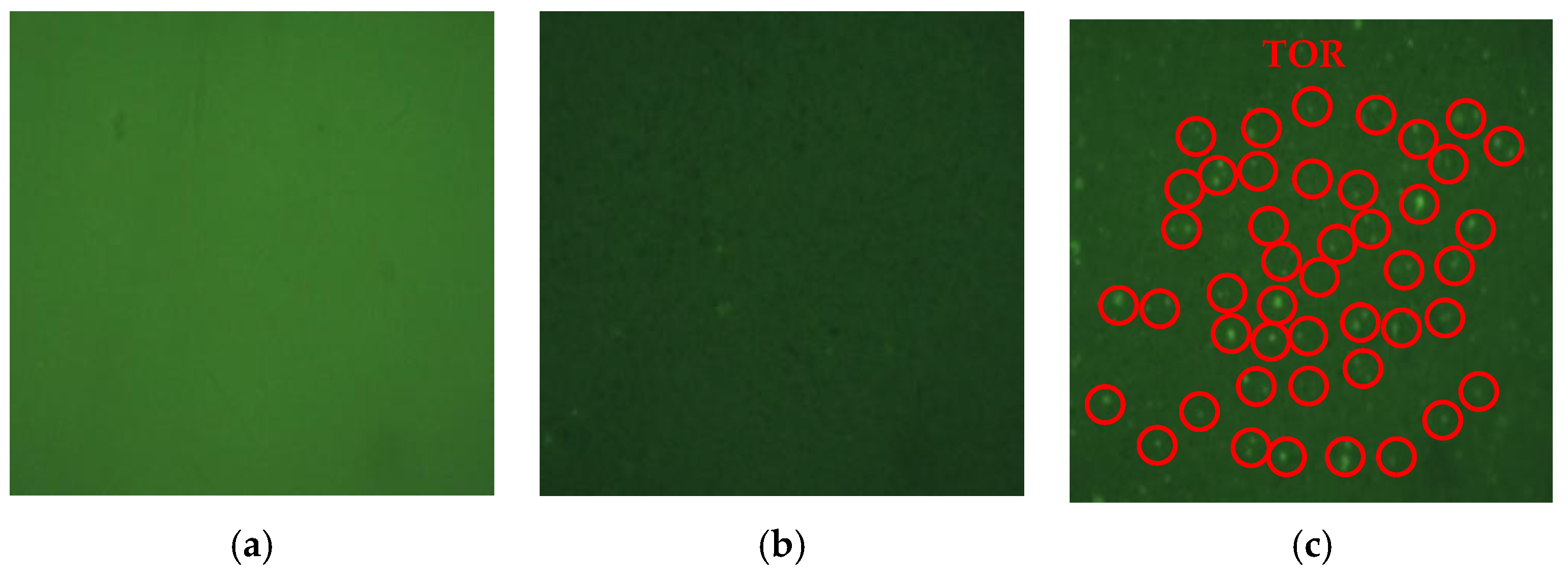 Coatings 12 00496 g023