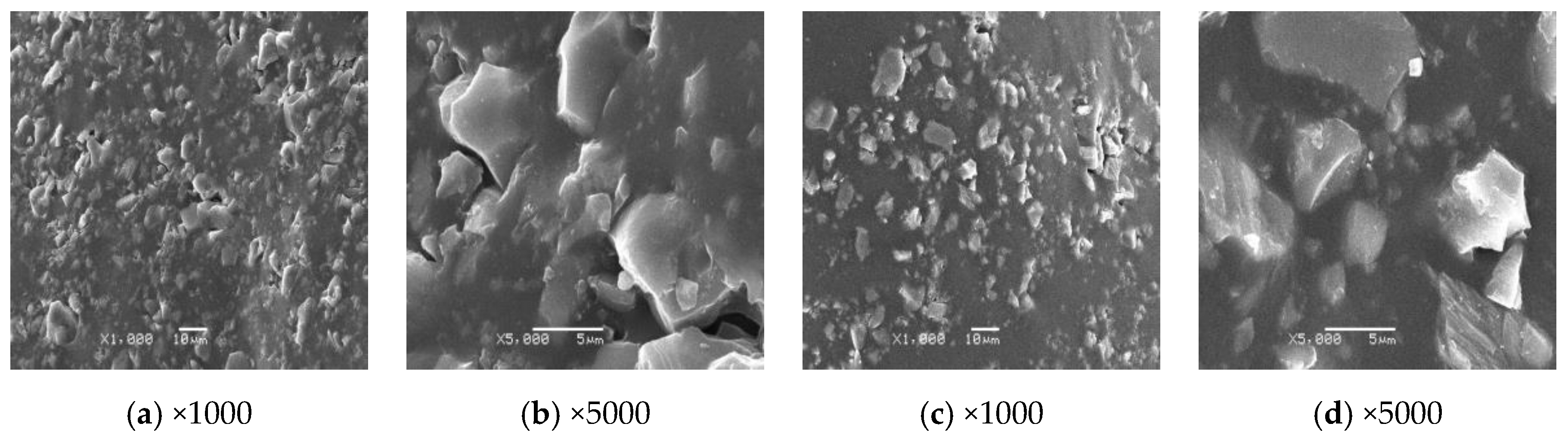 Coatings 12 00496 g024