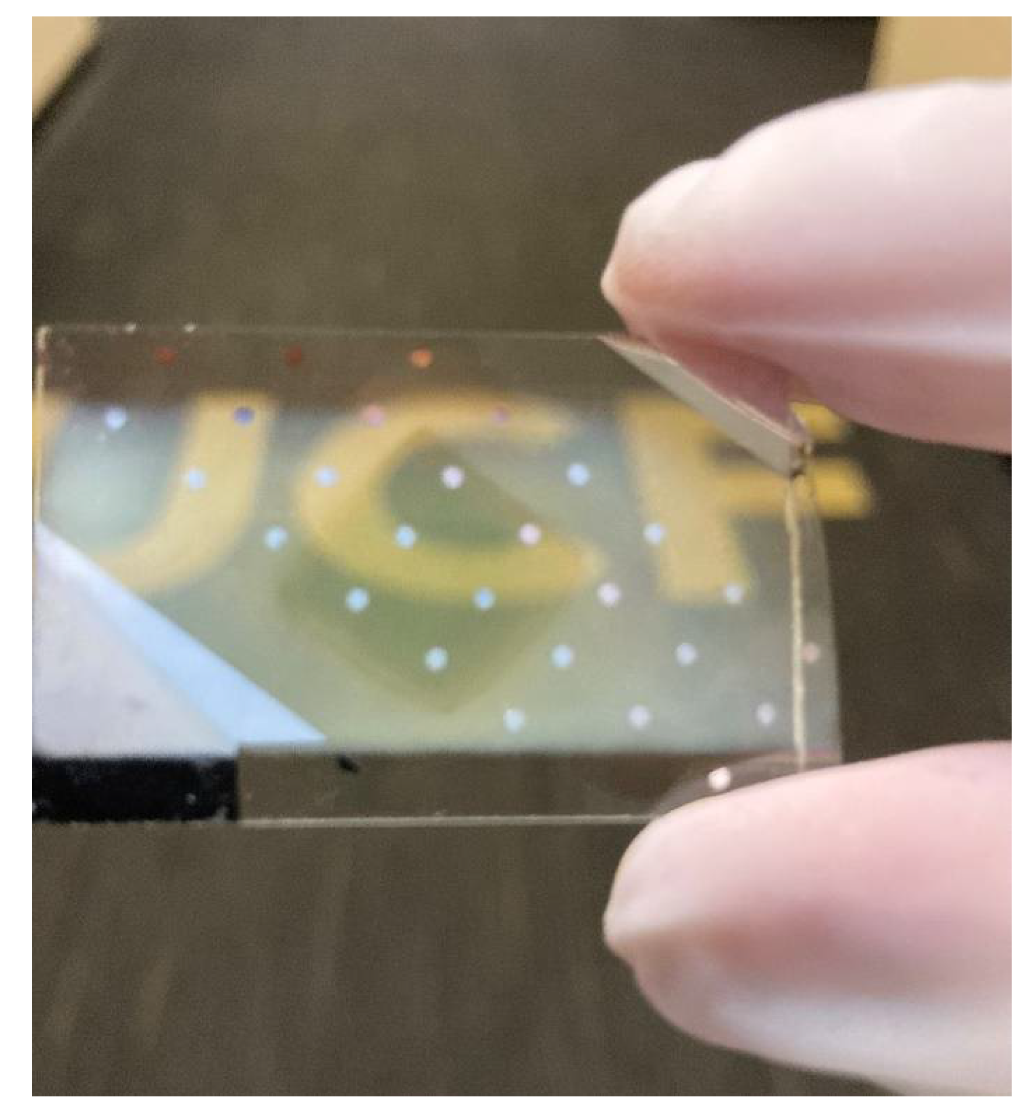 Coatings 12 00500 g008