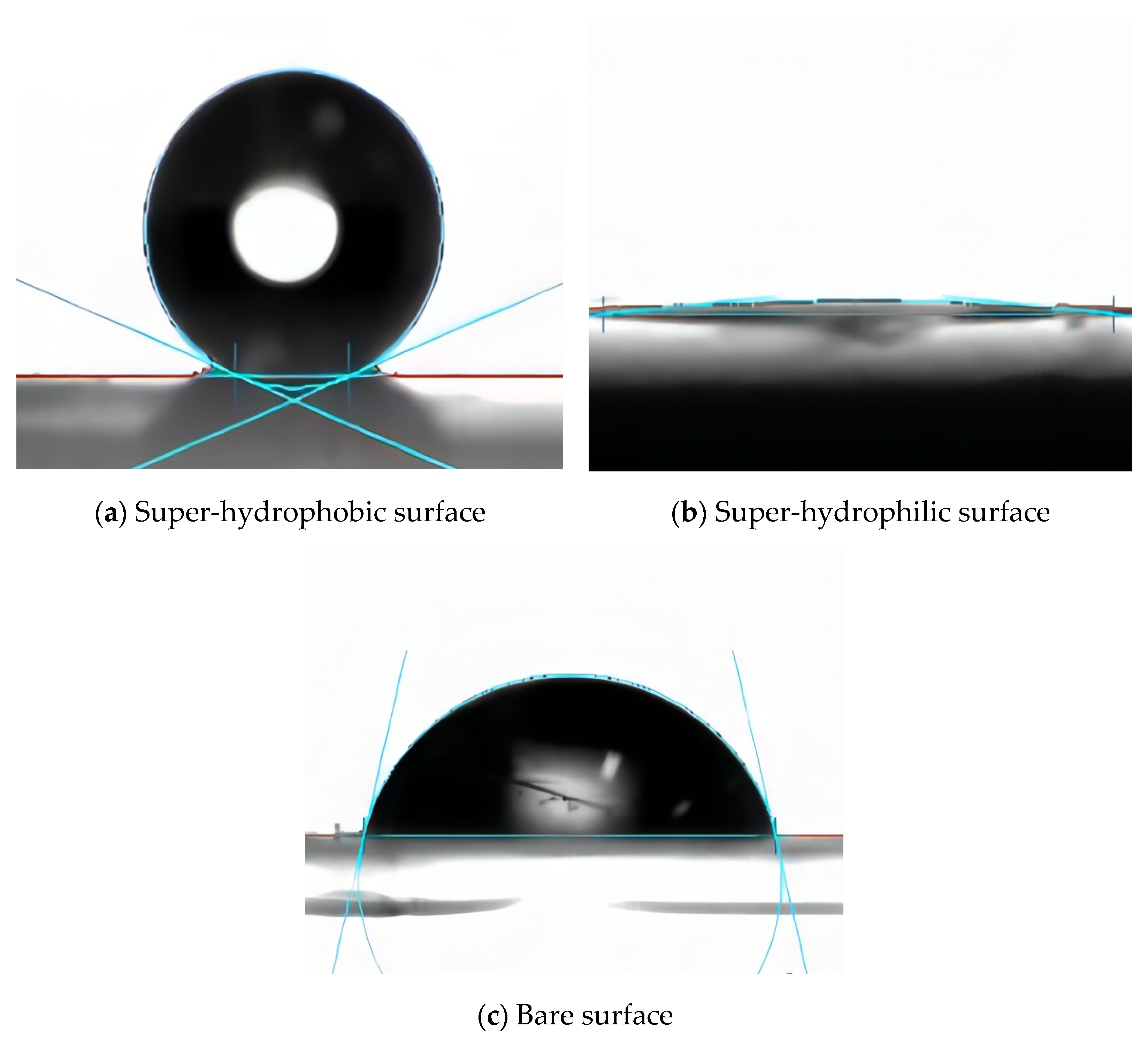 Coatings 12 00502 g005 550