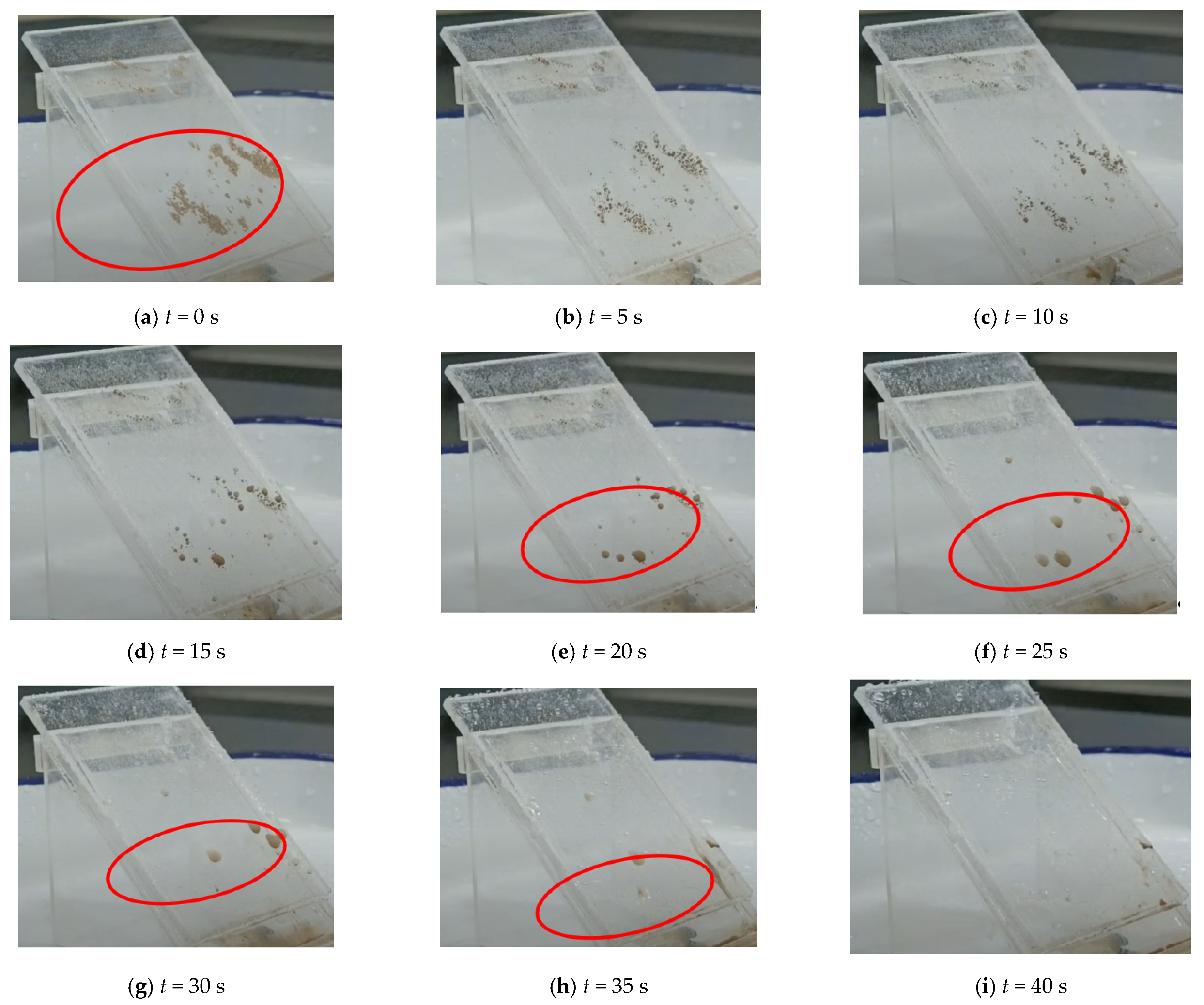 Coatings 12 00502 g008 550