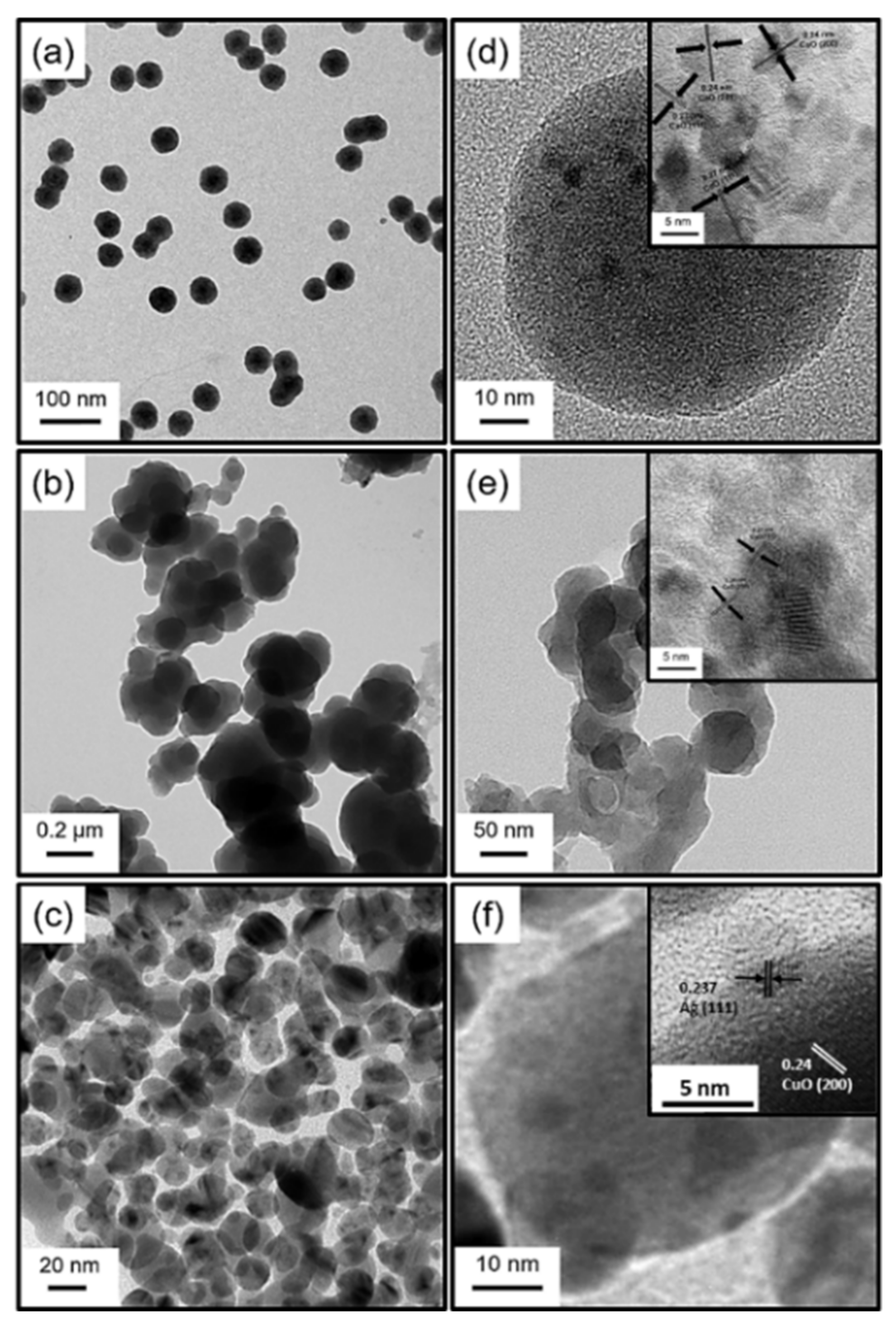 Coatings 12 00506 g001