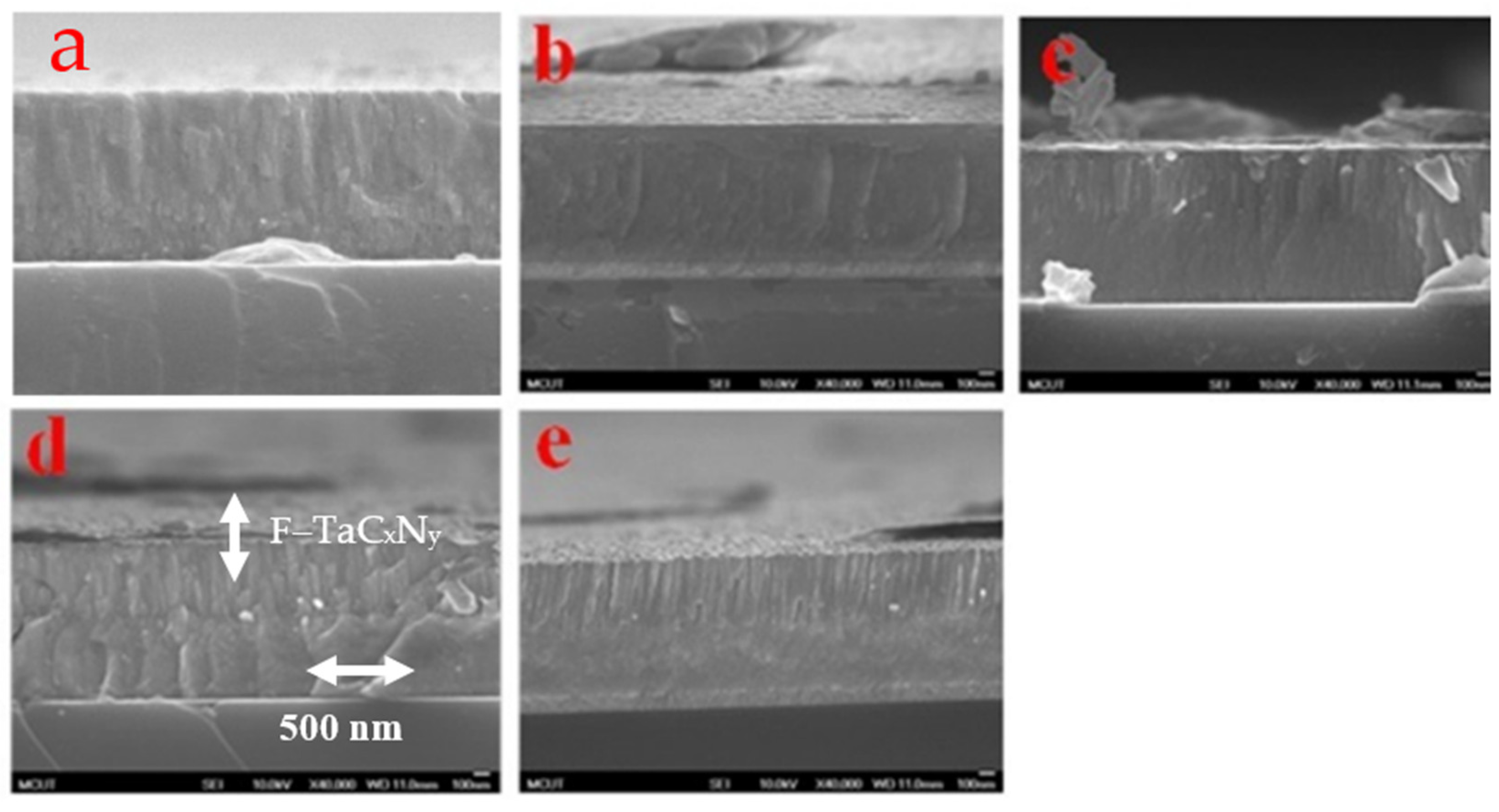 Coatings 12 00508 g003 550