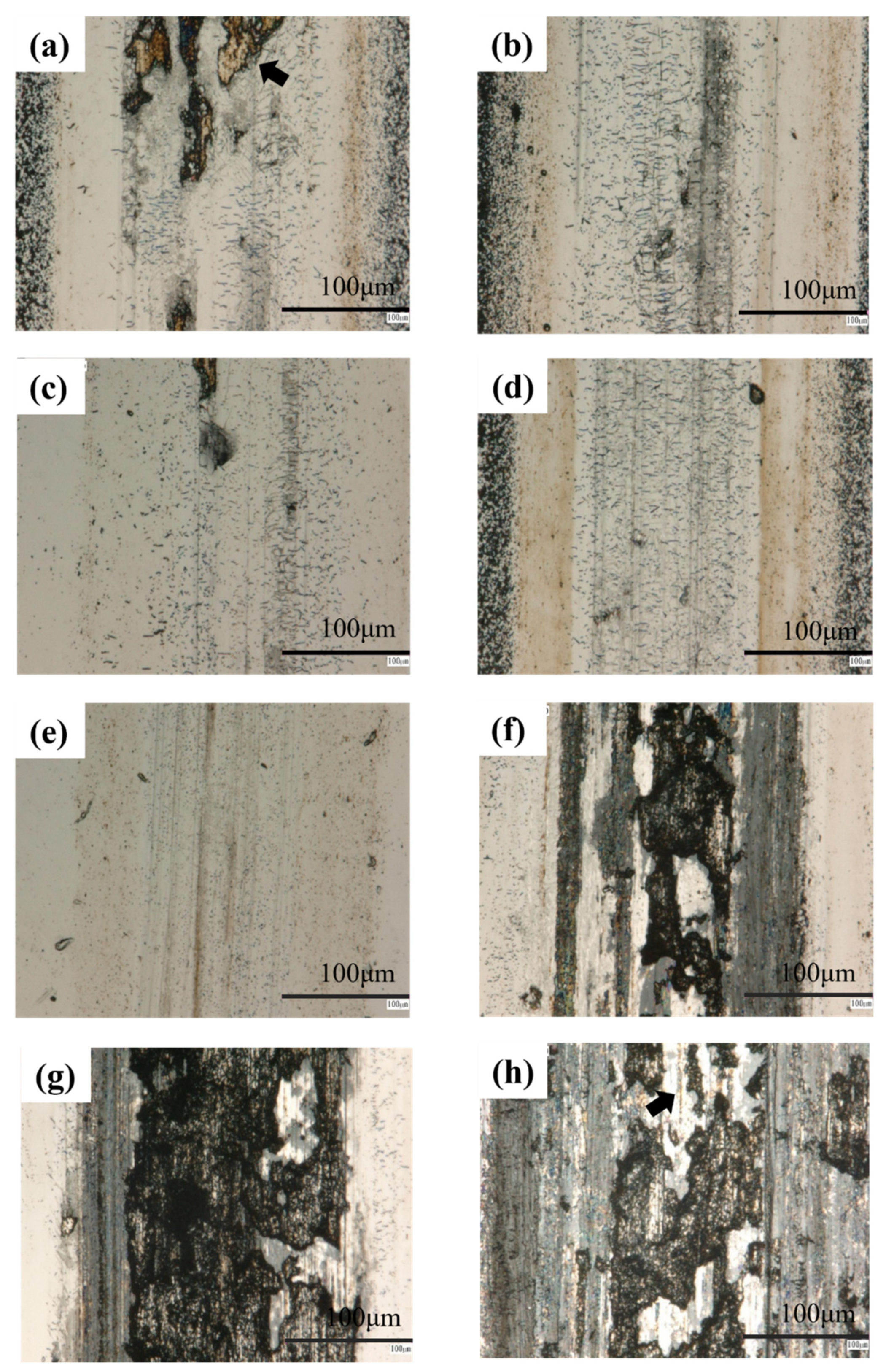 Coatings 12 00509 g009