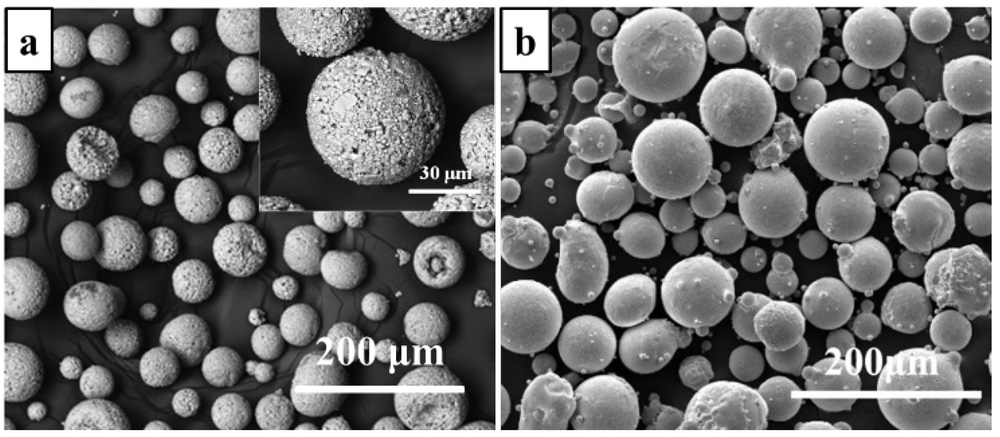 Coatings 12 00510 g002