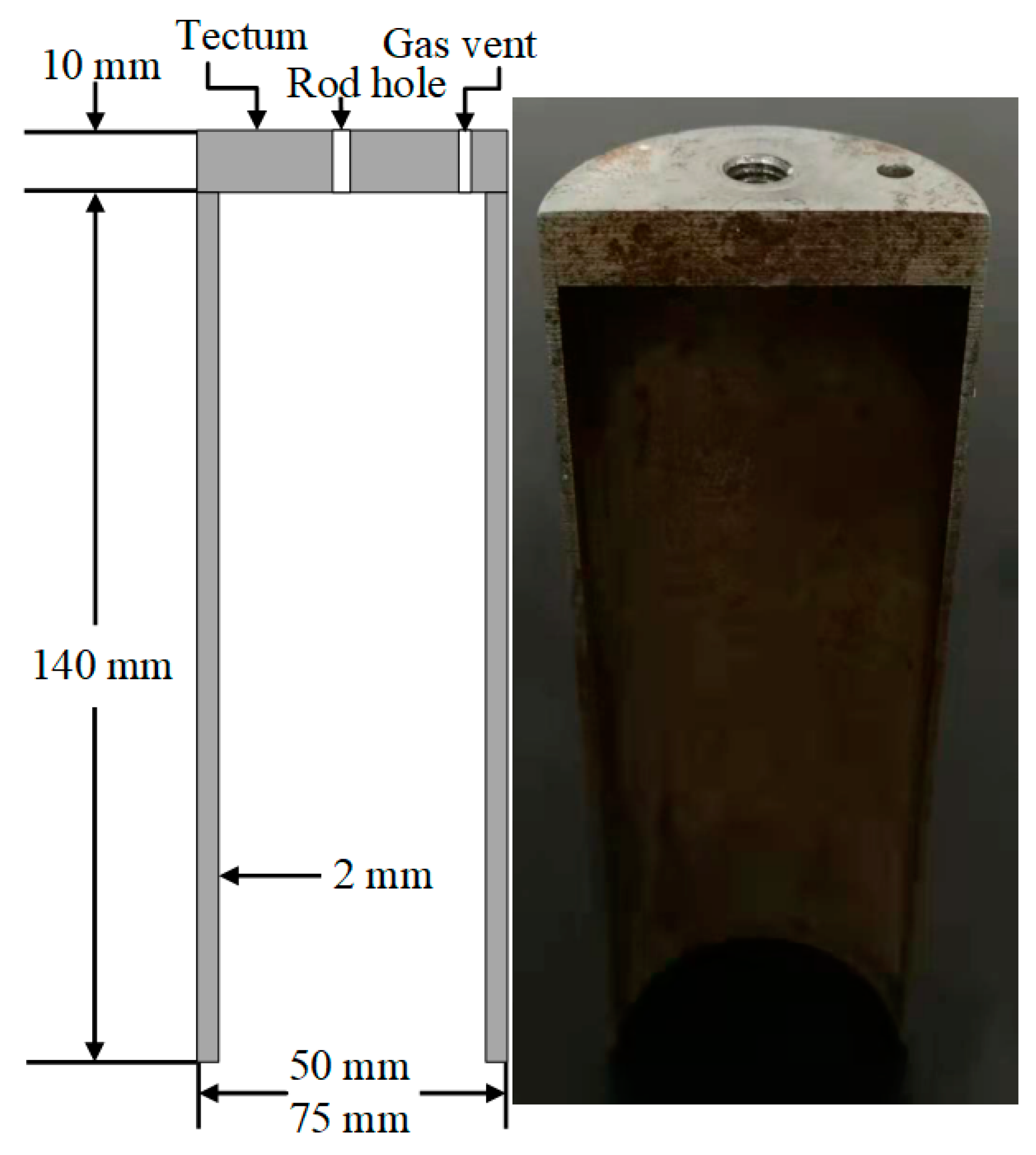 Coatings 12 00513 g003 550