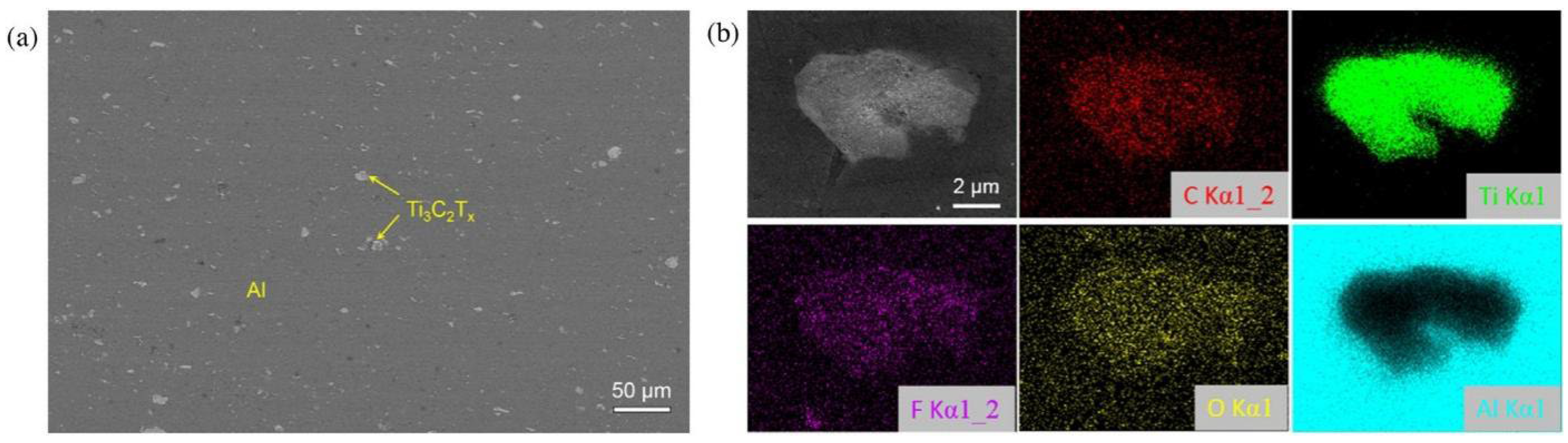 Coatings 12 00516 g006 550