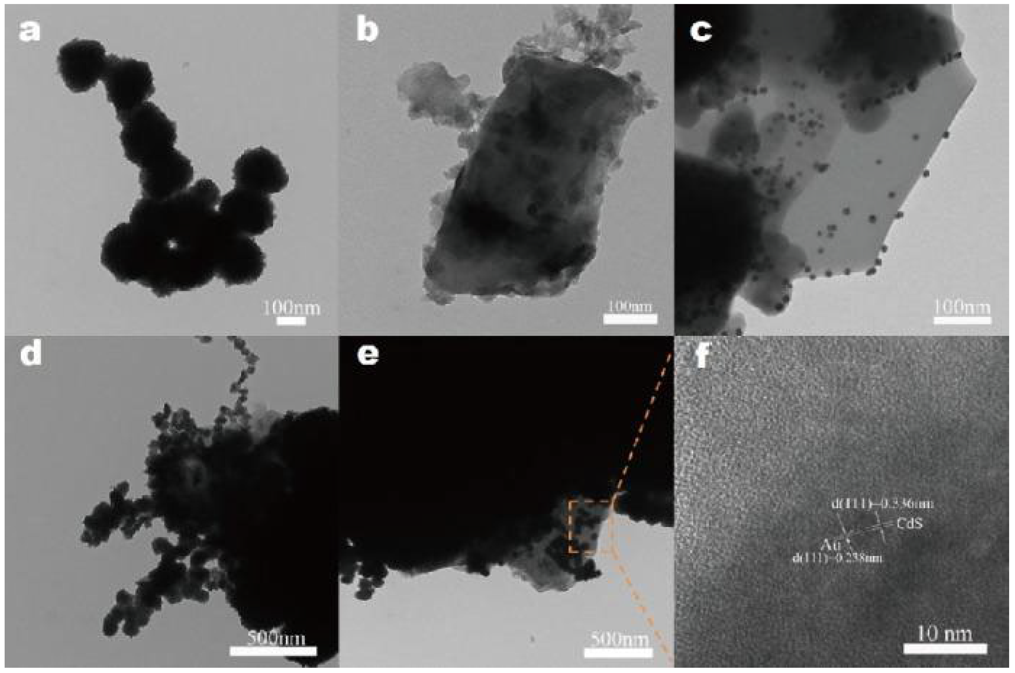 Coatings 12 00516 g007 550