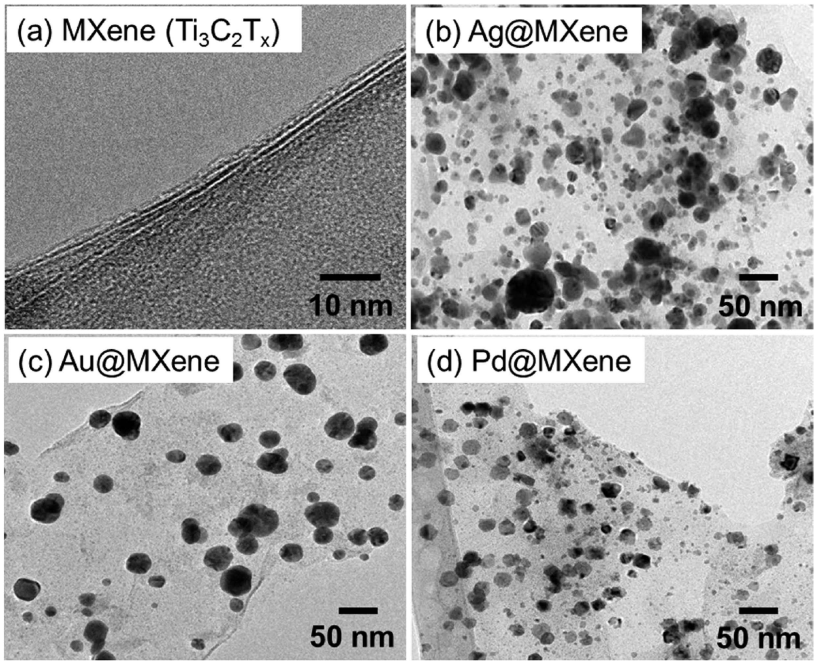 Coatings 12 00516 g014 550