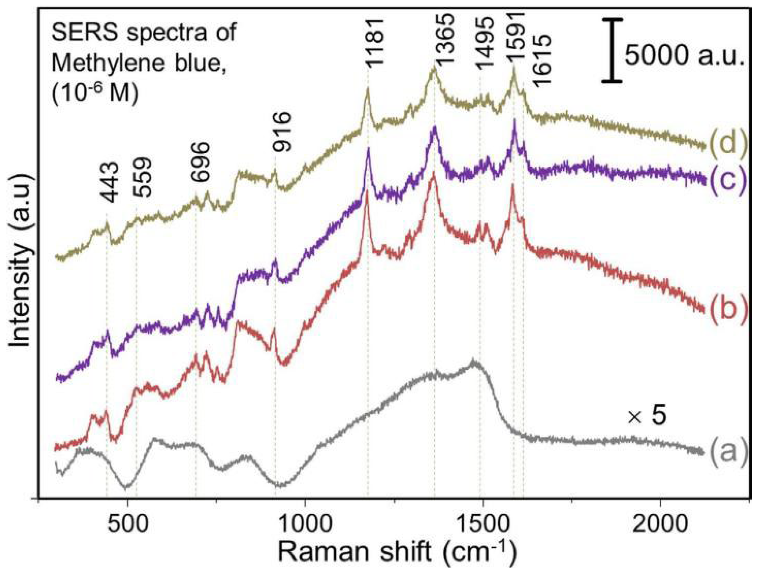 Coatings 12 00516 g017 550