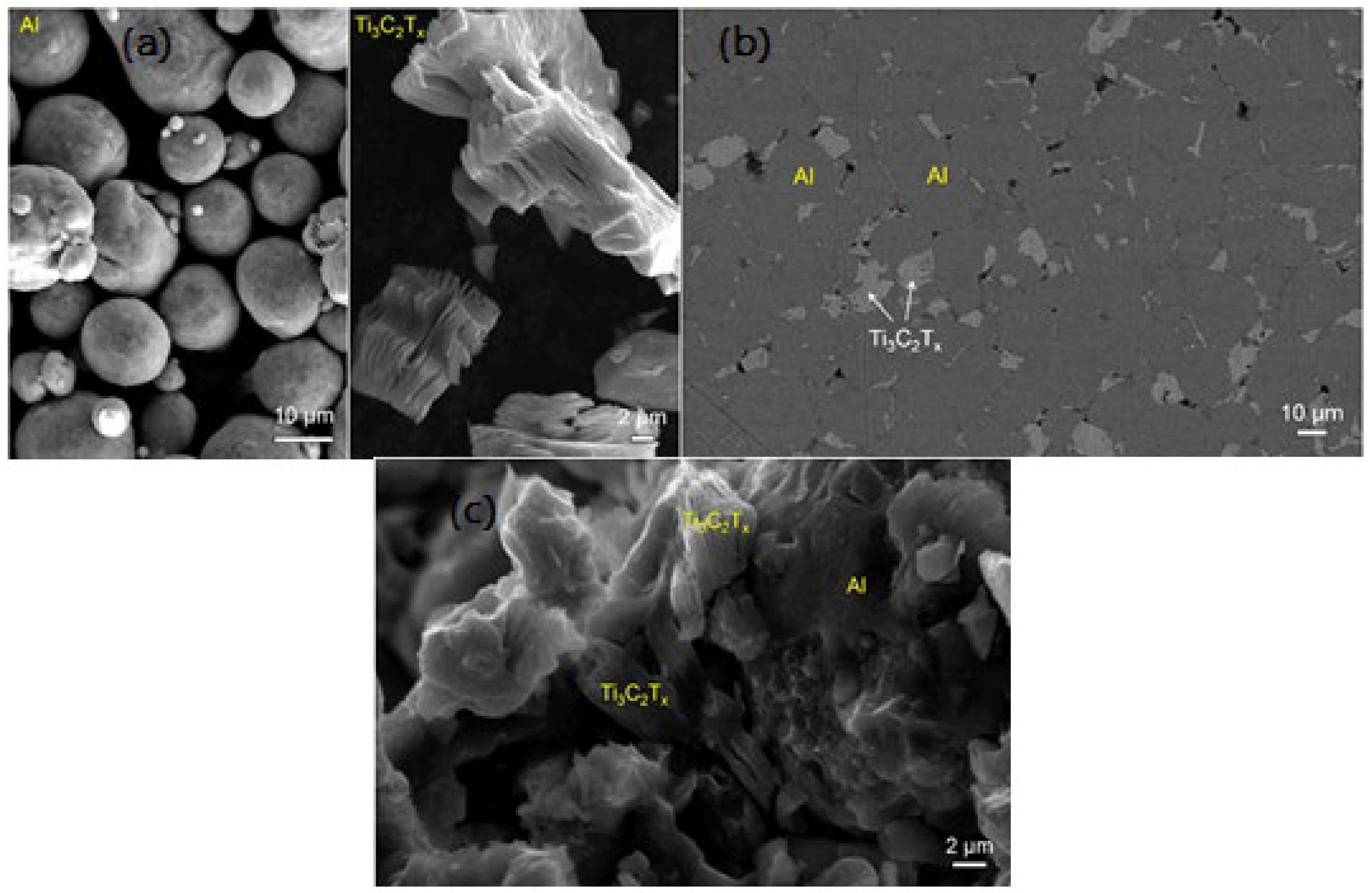 Coatings 12 00516 g018 550
